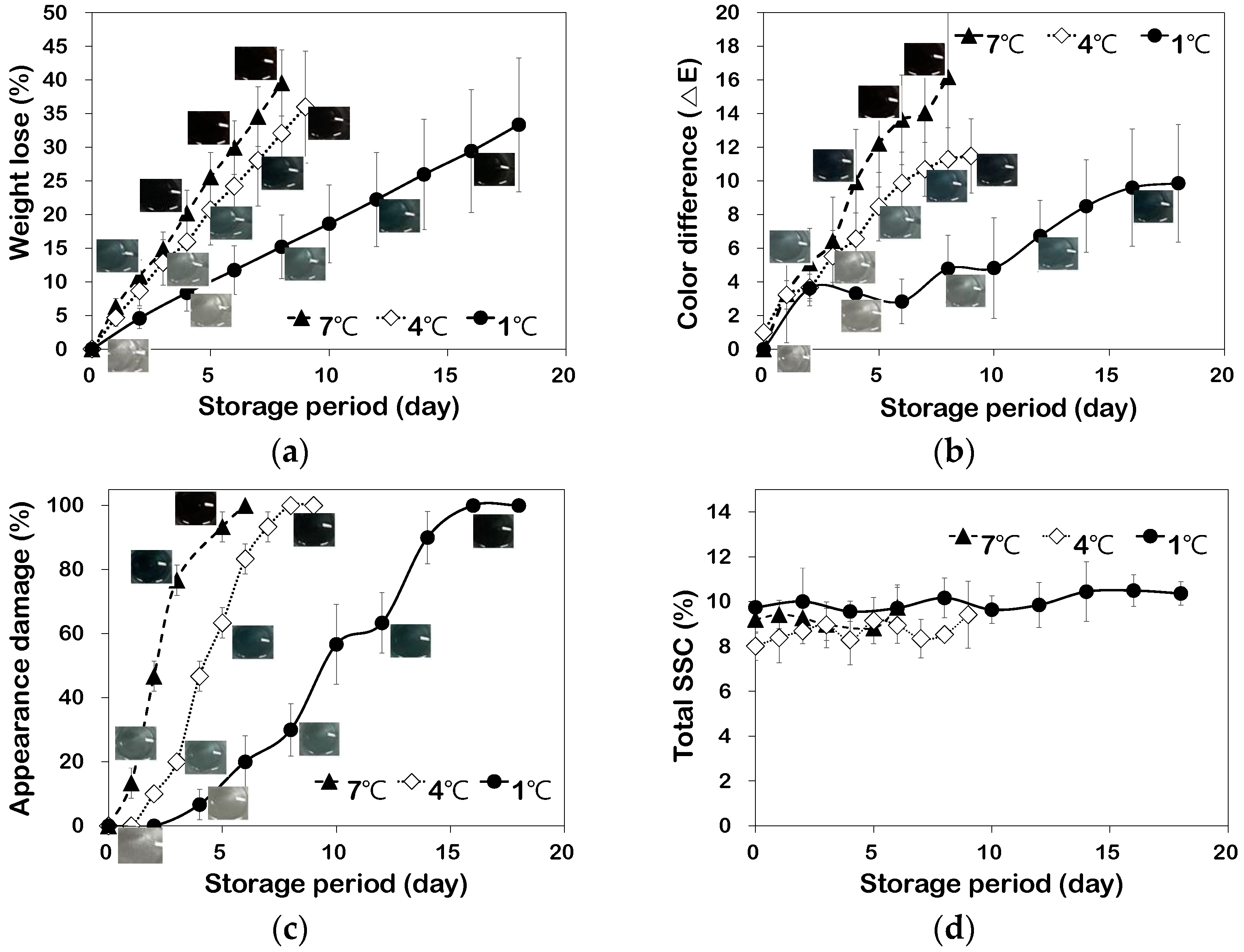 Horticulturae 08 00979 g004