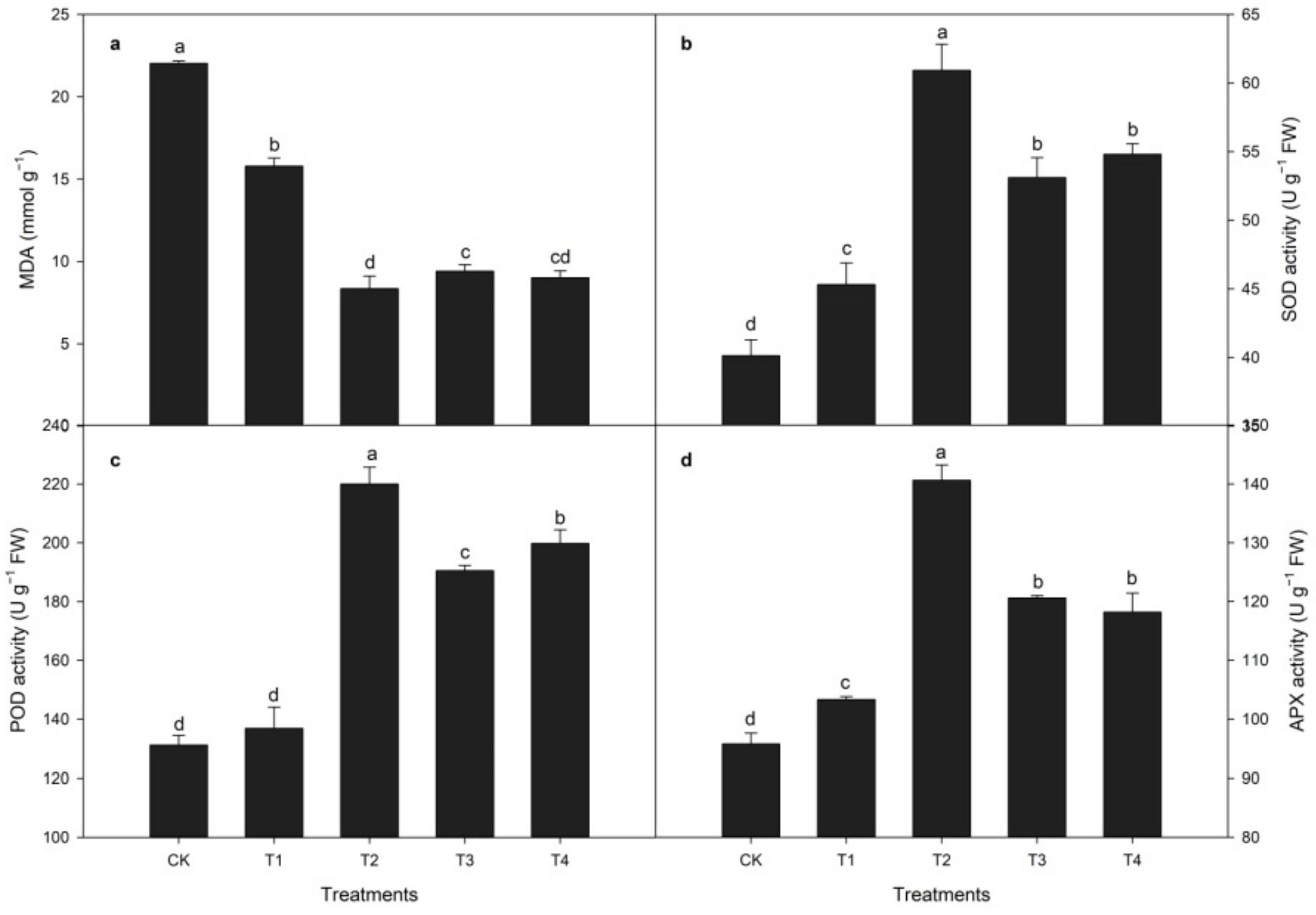 Horticulturae 08 00980 g004