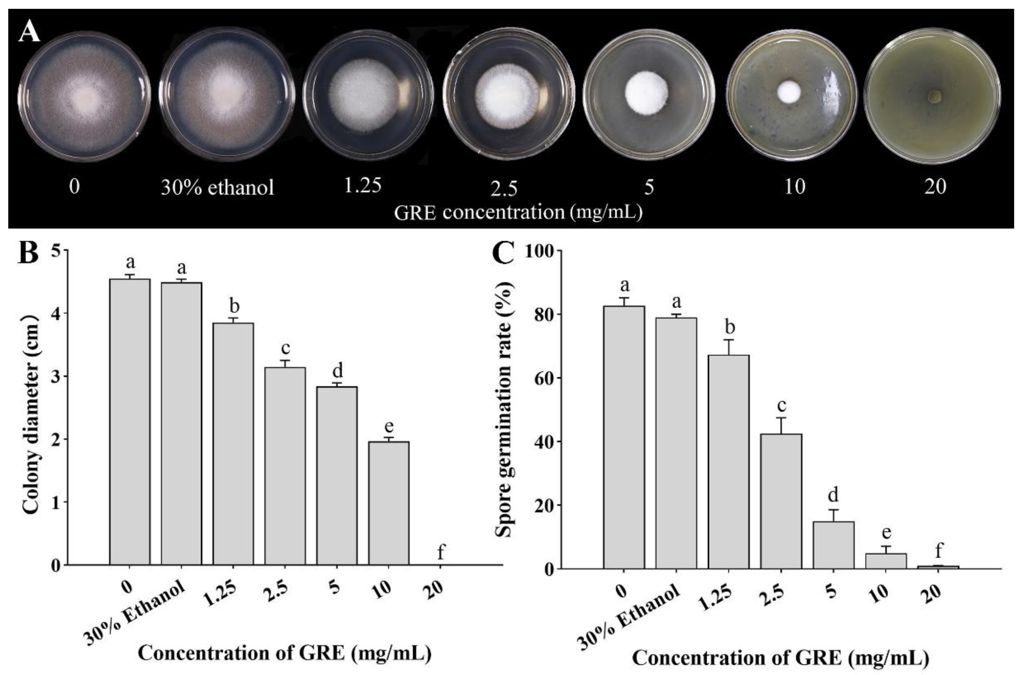 Horticulturae 08 00983 g001 Horticulturae 08 00983 g001