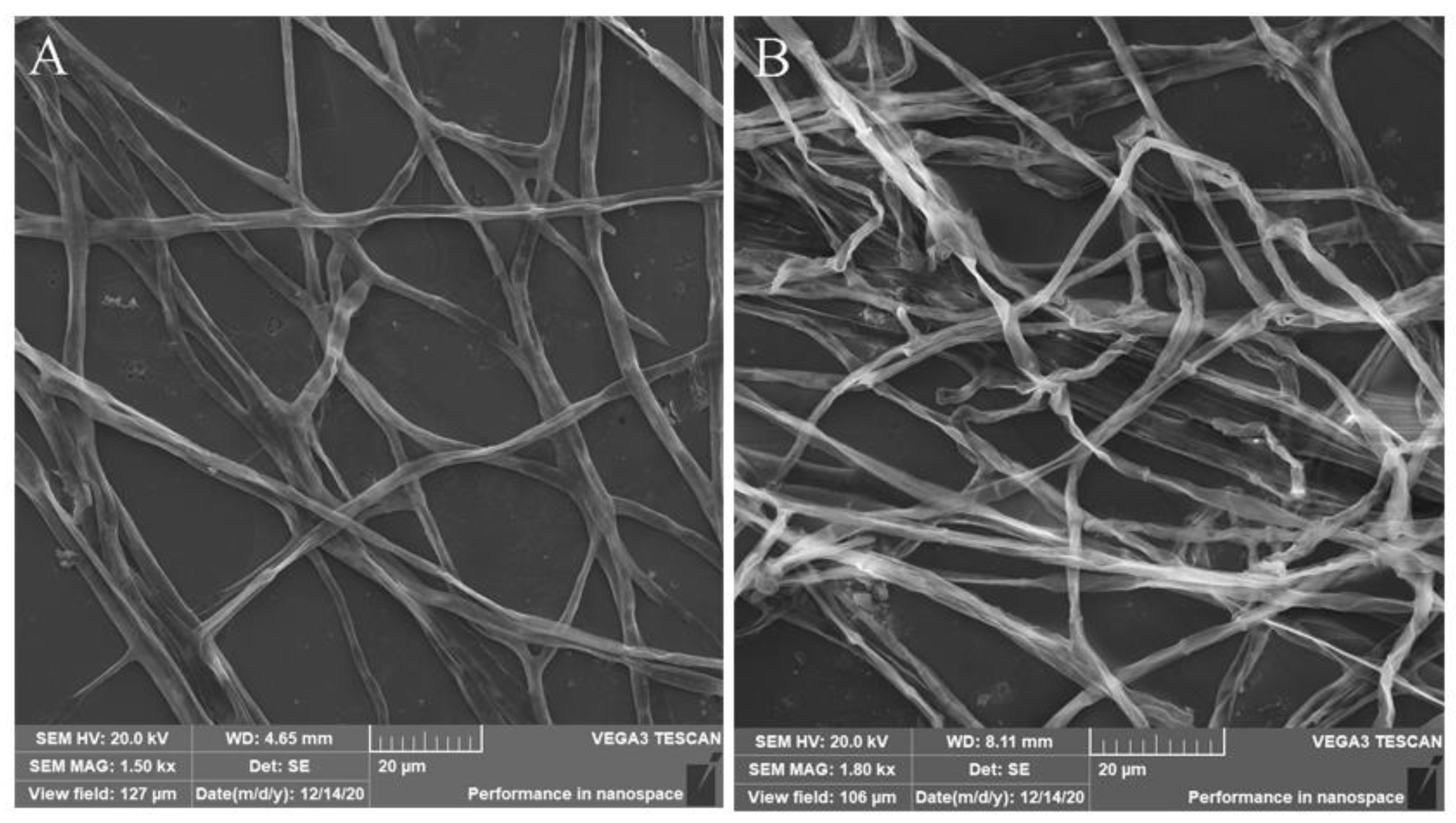 Horticulturae 08 00983 g002 Horticulturae 08 00983 g002