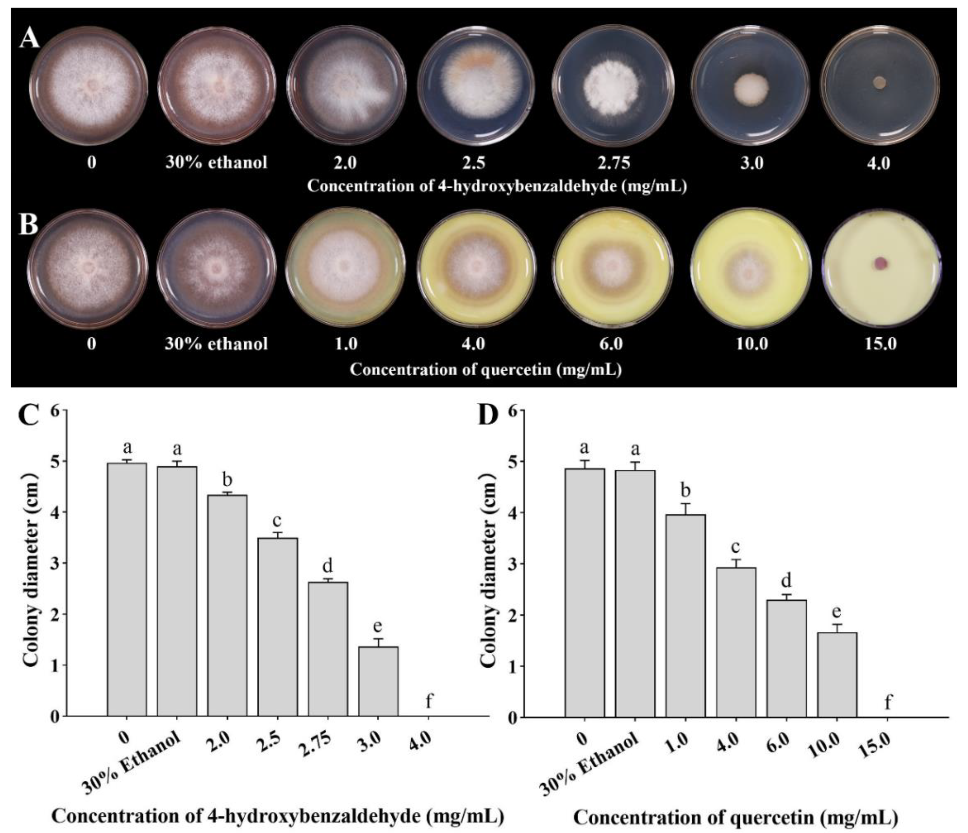 Horticulturae 08 00983 g007 Horticulturae 08 00983 g007
