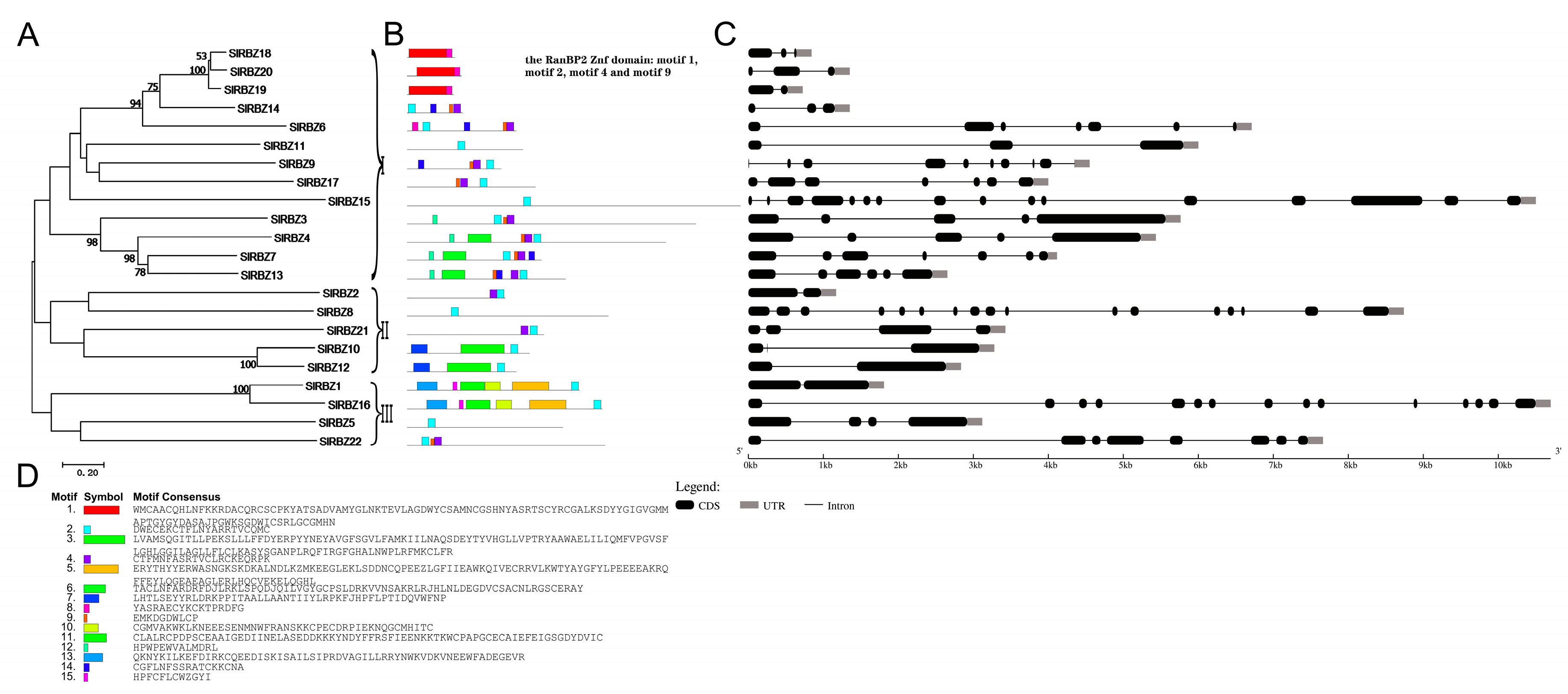 Horticulturae 08 00985 g001