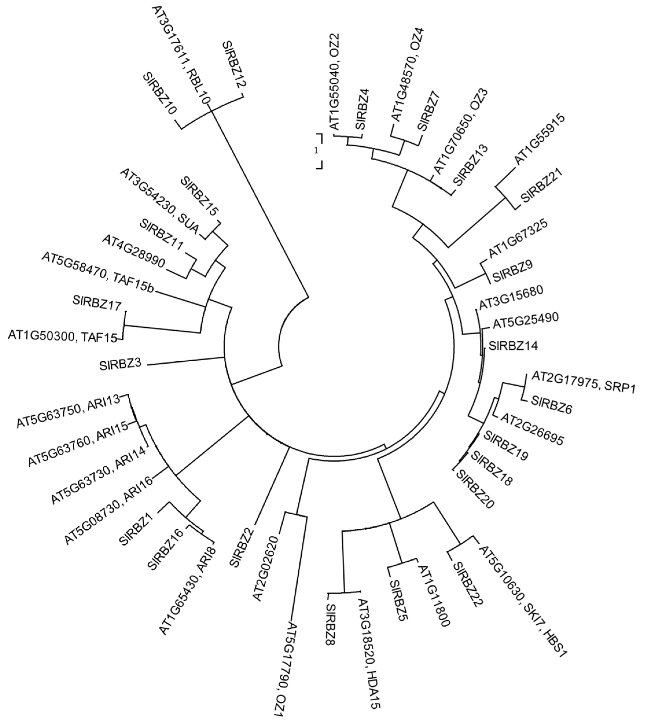 Horticulturae 08 00985 g002