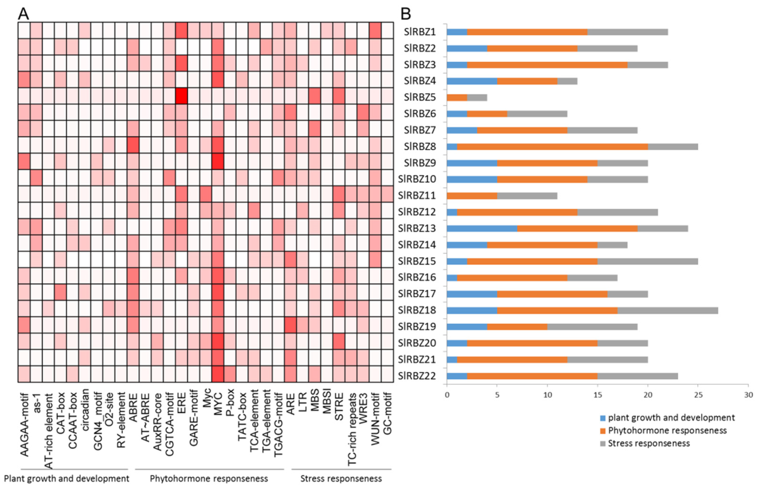 Horticulturae 08 00985 g004