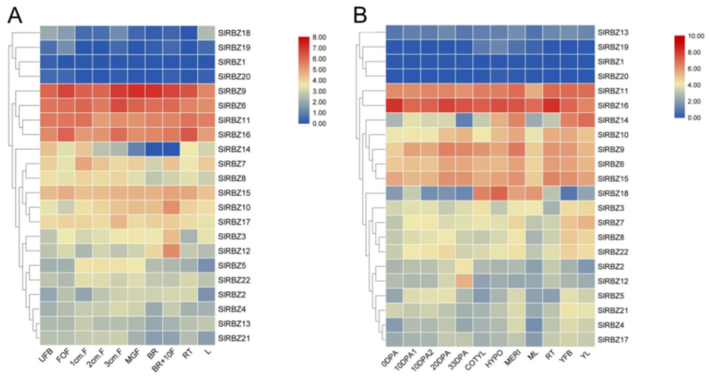 Horticulturae 08 00985 g005
