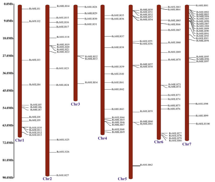 Horticulturae 08 00989 g001 Horticulturae 08 00989 g001