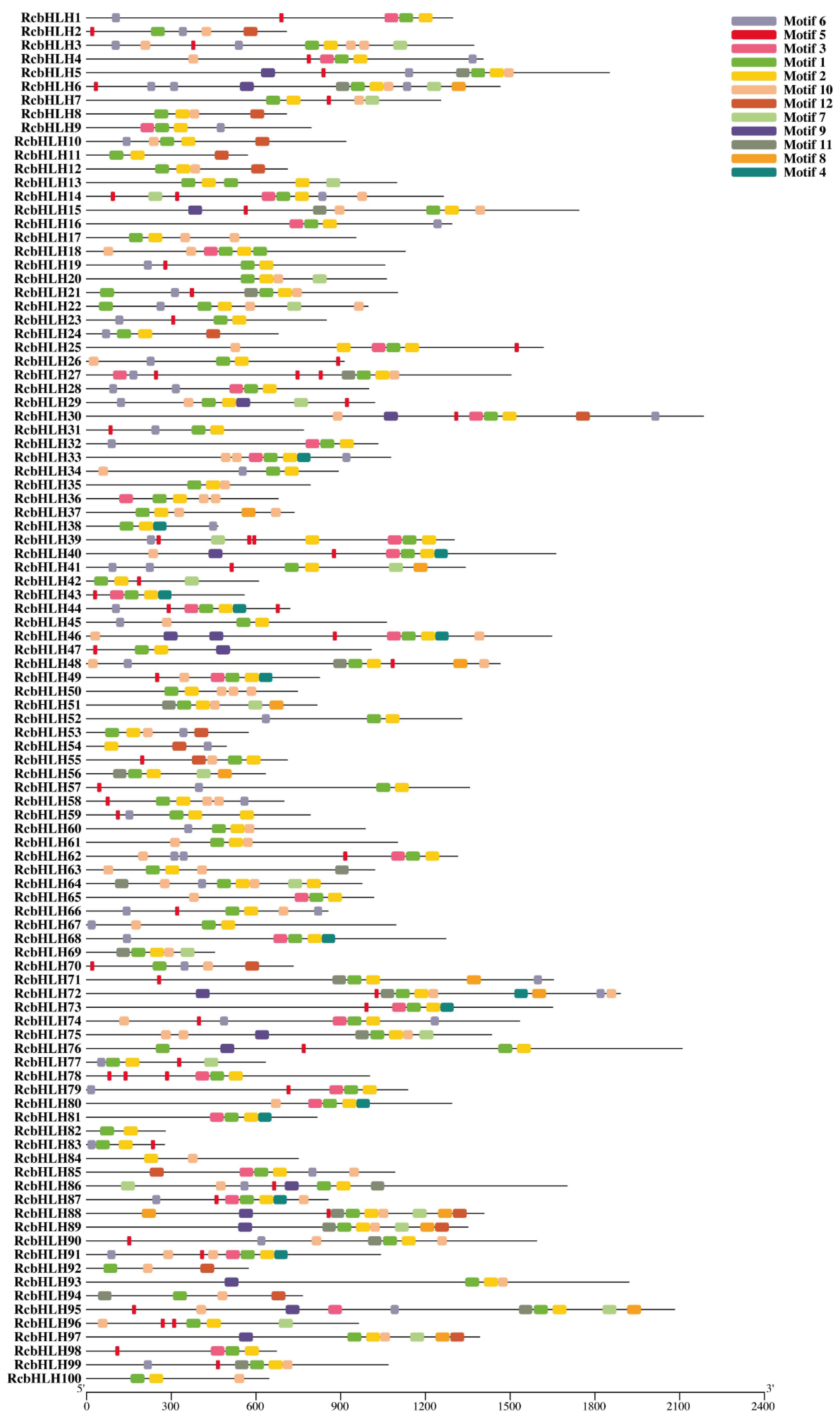 Horticulturae 08 00989 g003 Horticulturae 08 00989 g003