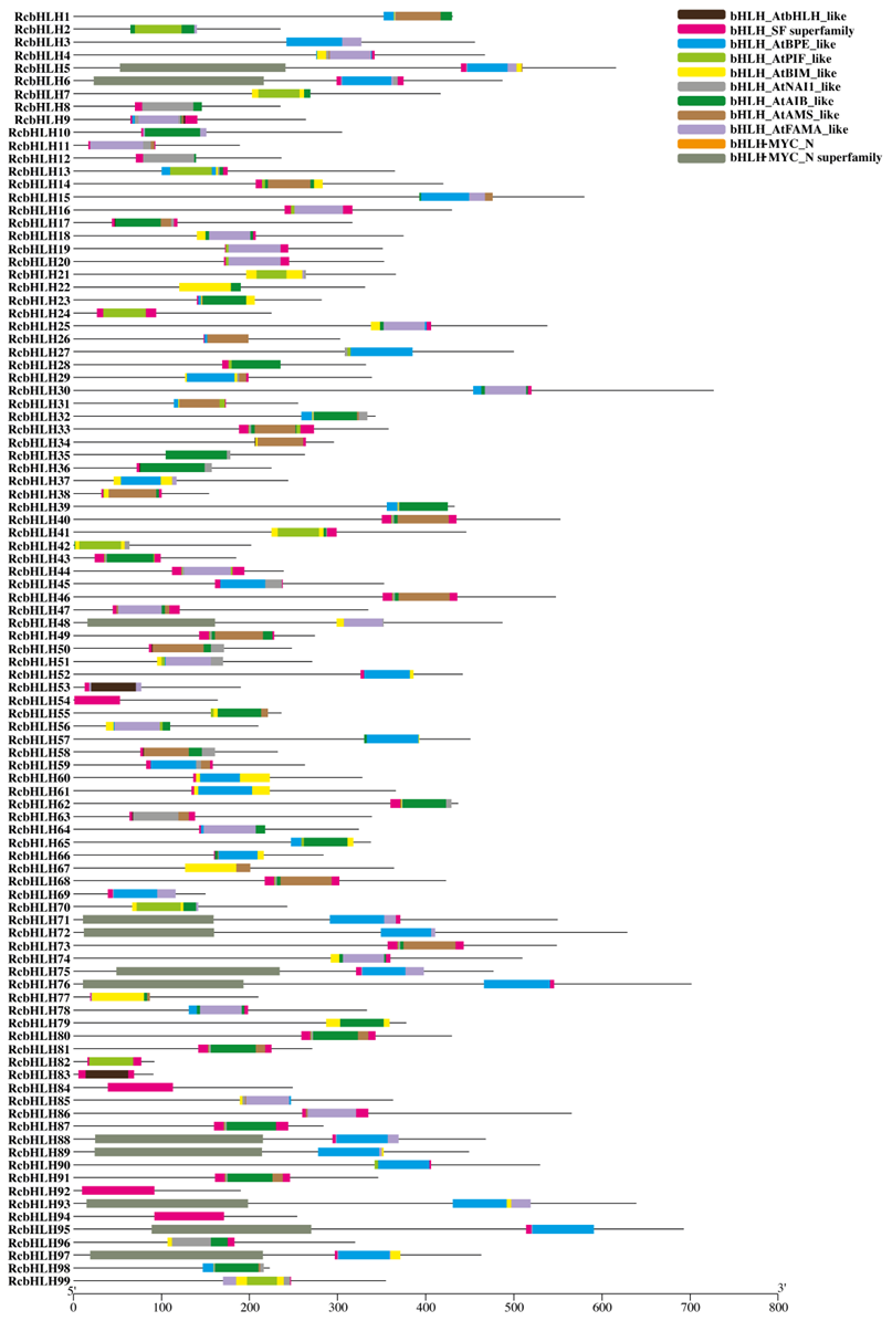 Horticulturae 08 00989 g004 Horticulturae 08 00989 g004