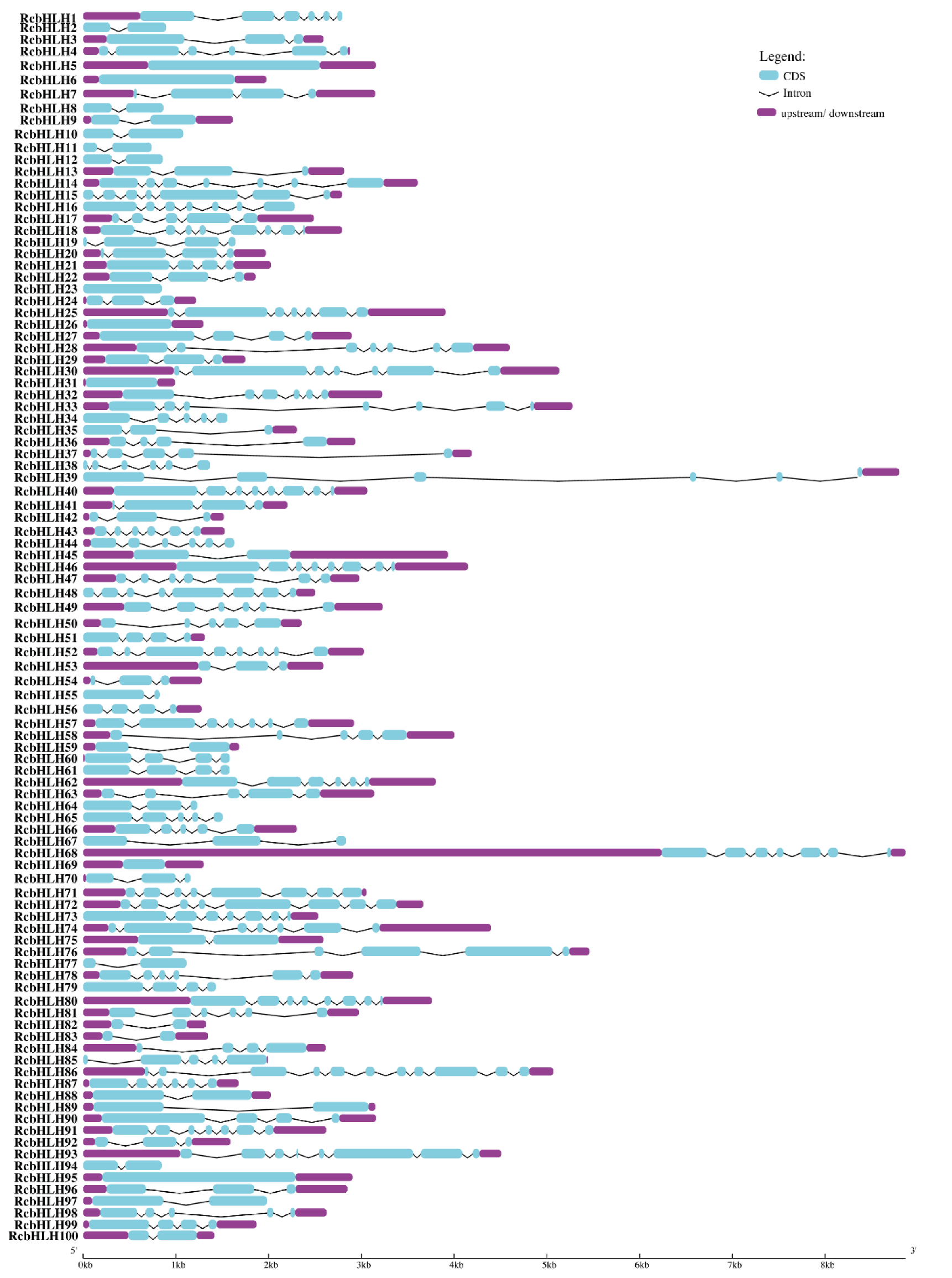 Horticulturae 08 00989 g005 Horticulturae 08 00989 g005