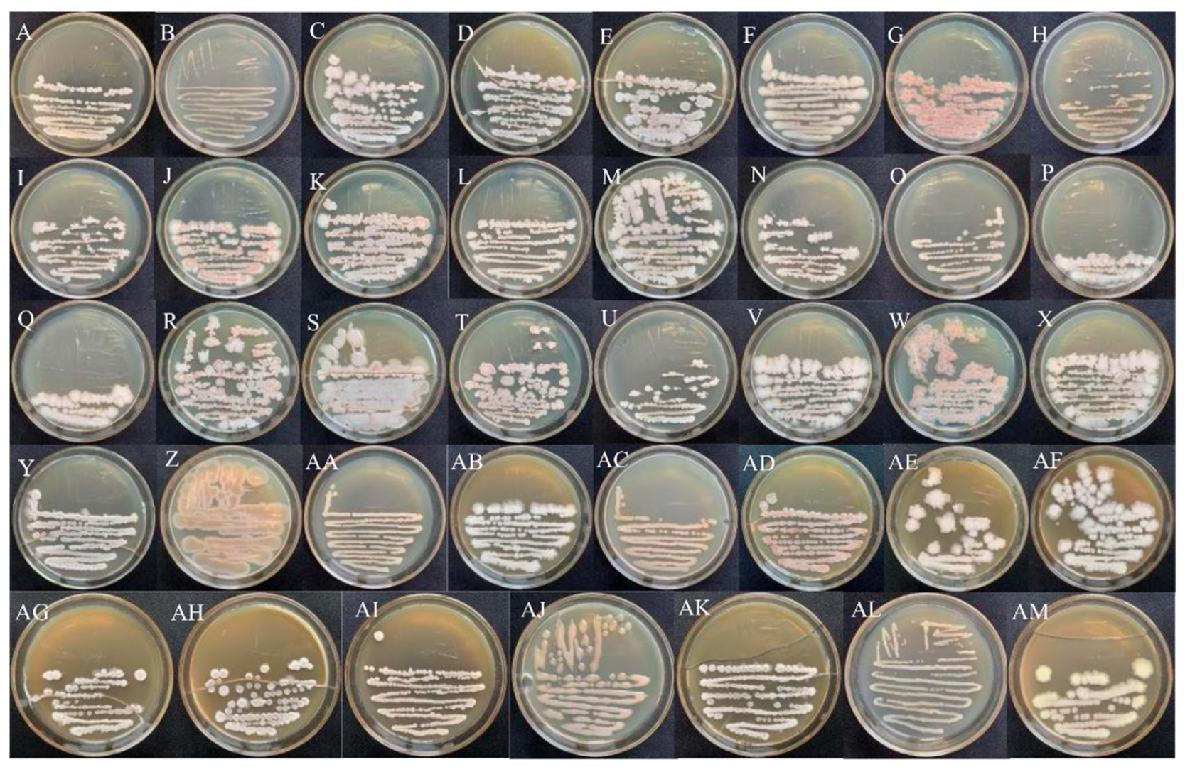 Horticulturae 08 00991 g001