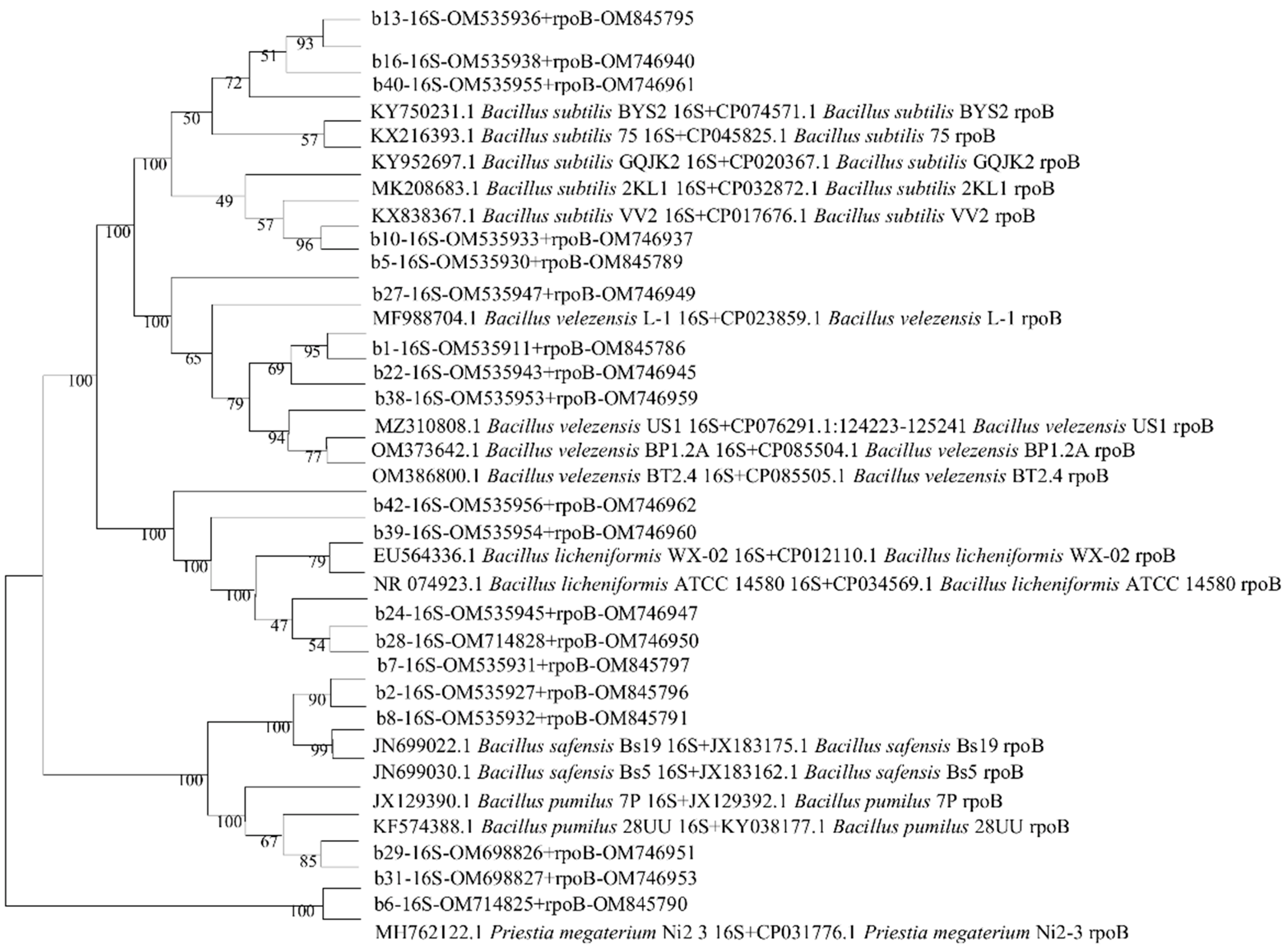 Horticulturae 08 00991 g002