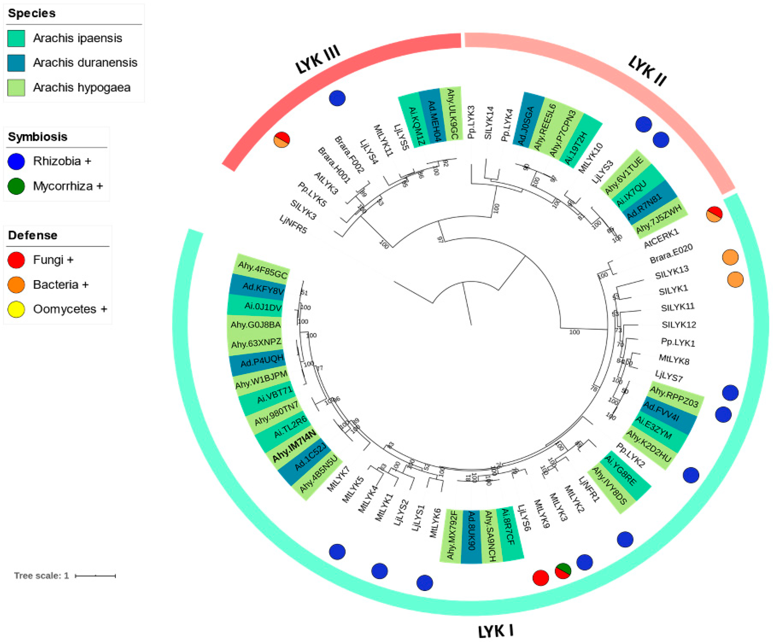 Horticulturae 08 01000 g001 Horticulturae 08 01000 g001