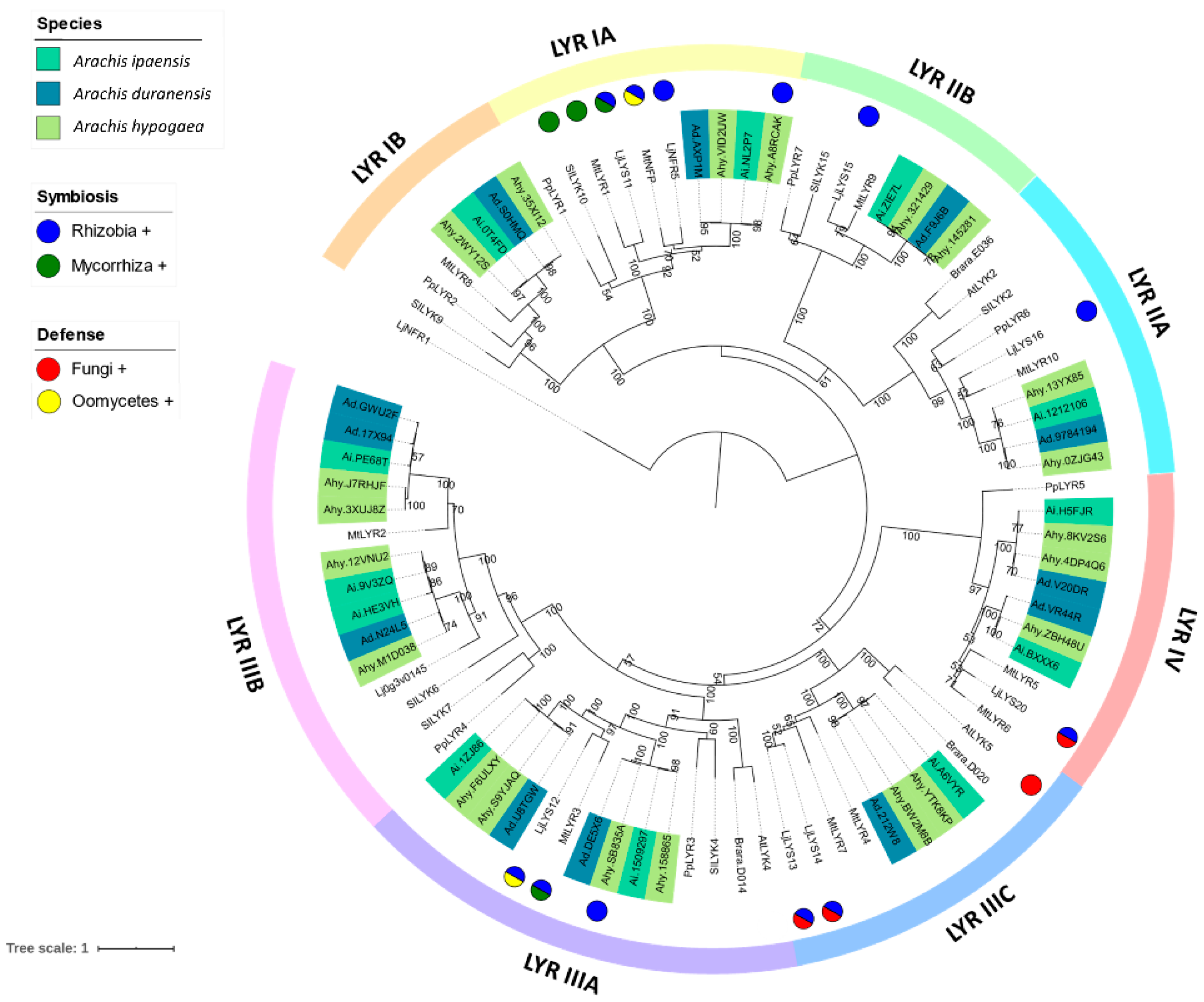 Horticulturae 08 01000 g002 Horticulturae 08 01000 g002