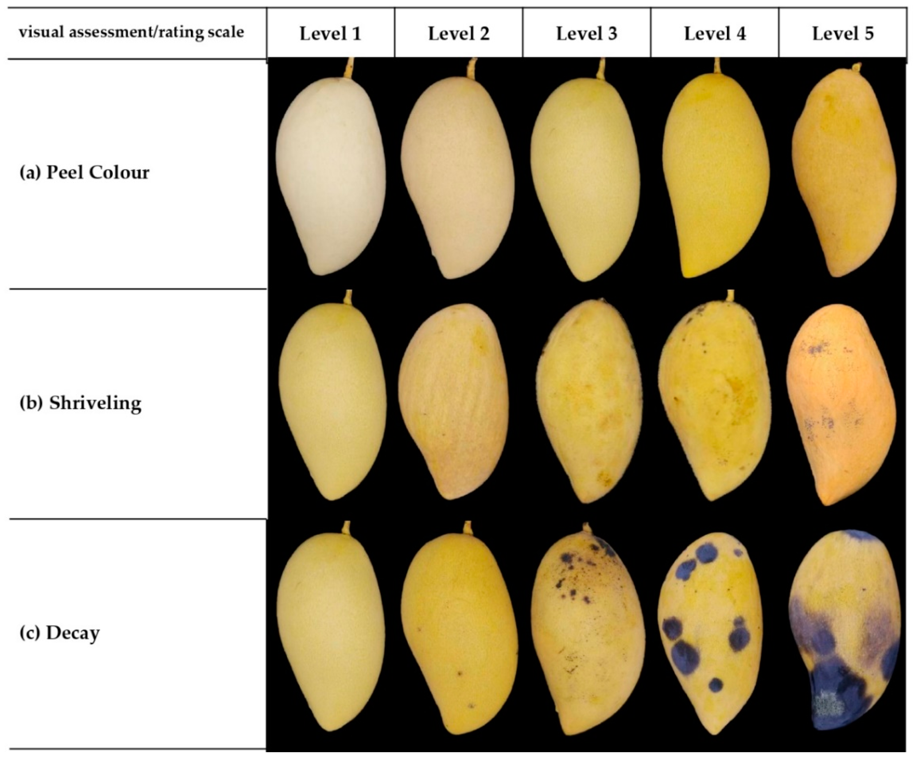 Horticulturae 08 01001 g002 Horticulturae 08 01001 g002