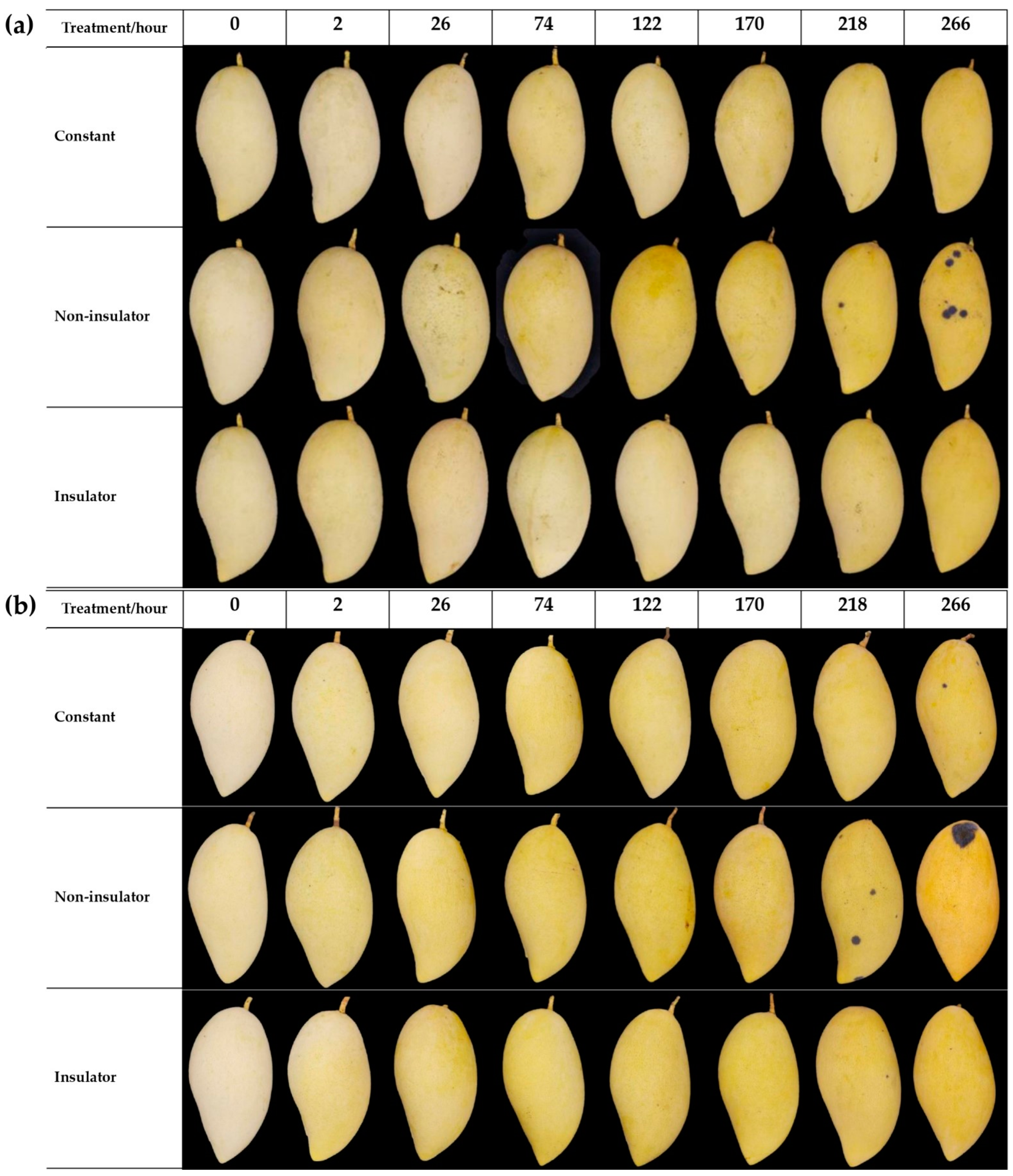 Horticulturae 08 01001 g007 Horticulturae 08 01001 g007