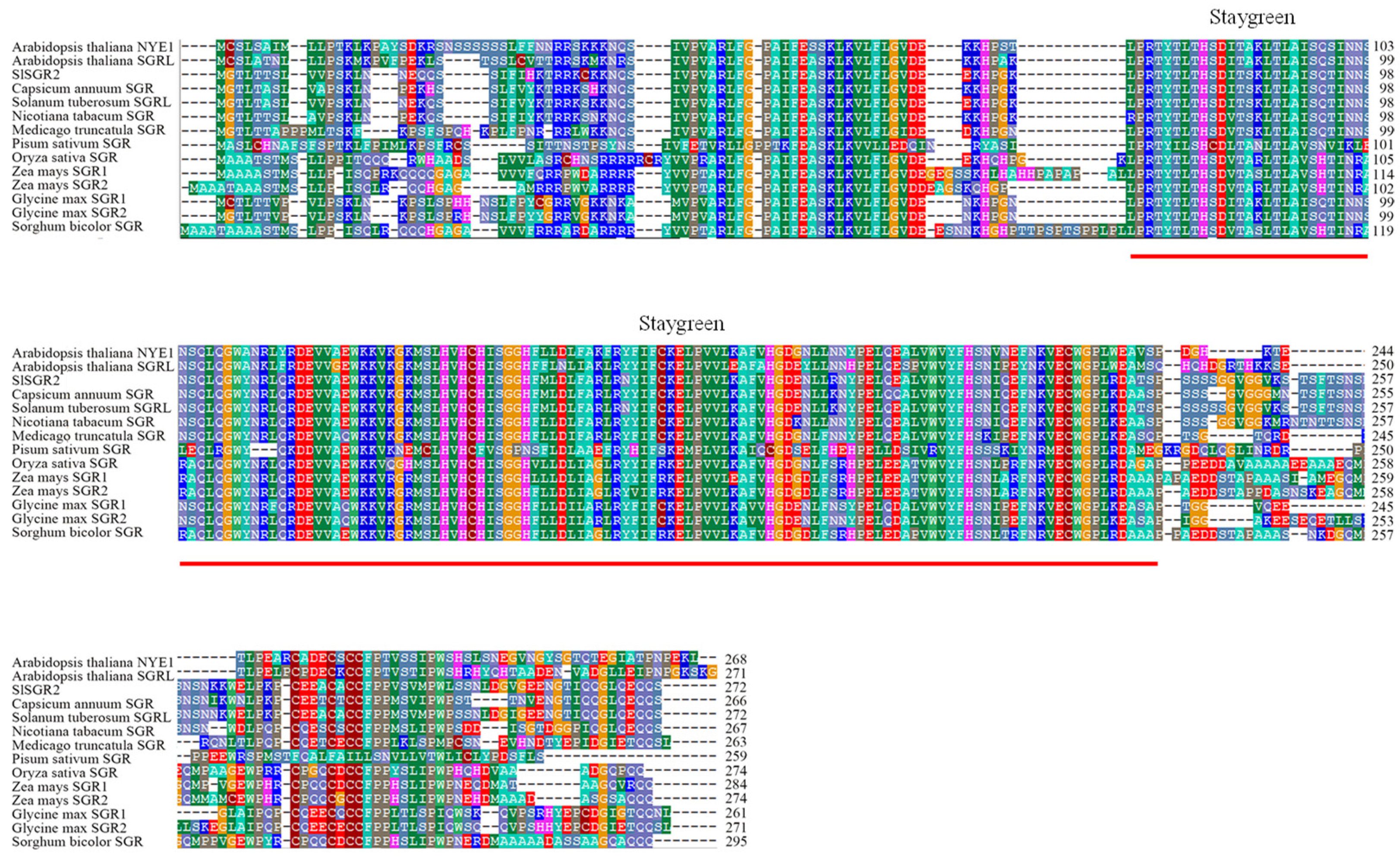 Horticulturae 08 01002 g003 Horticulturae 08 01002 g003