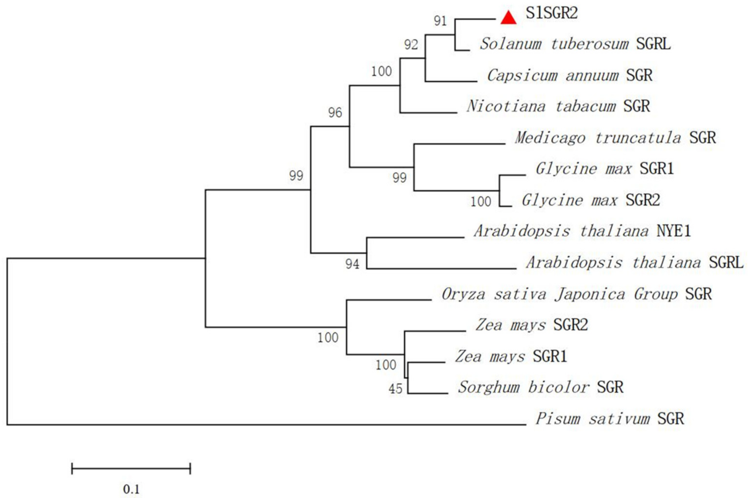 Horticulturae 08 01002 g004 Horticulturae 08 01002 g004