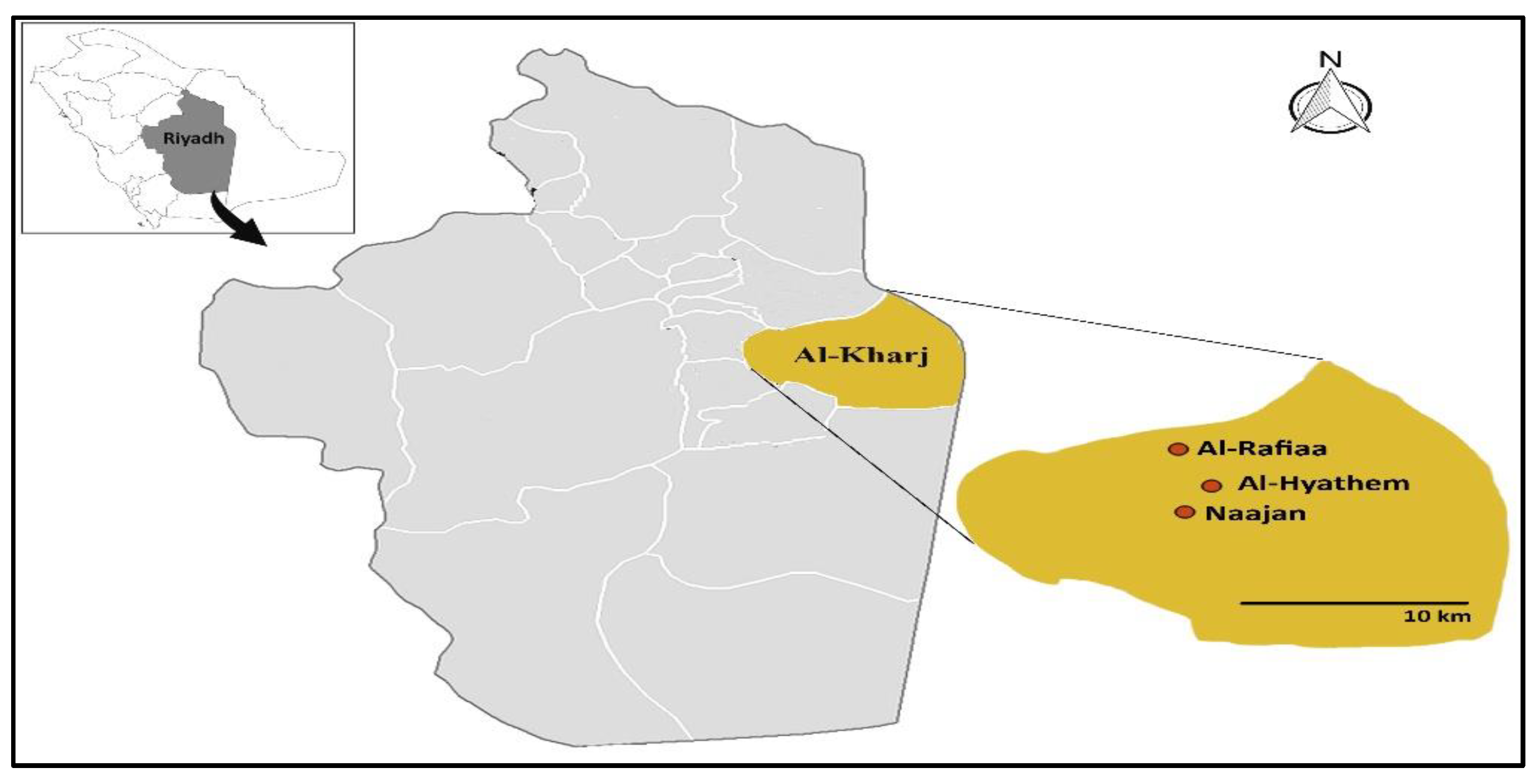 Horticulturae 08 01005 g001