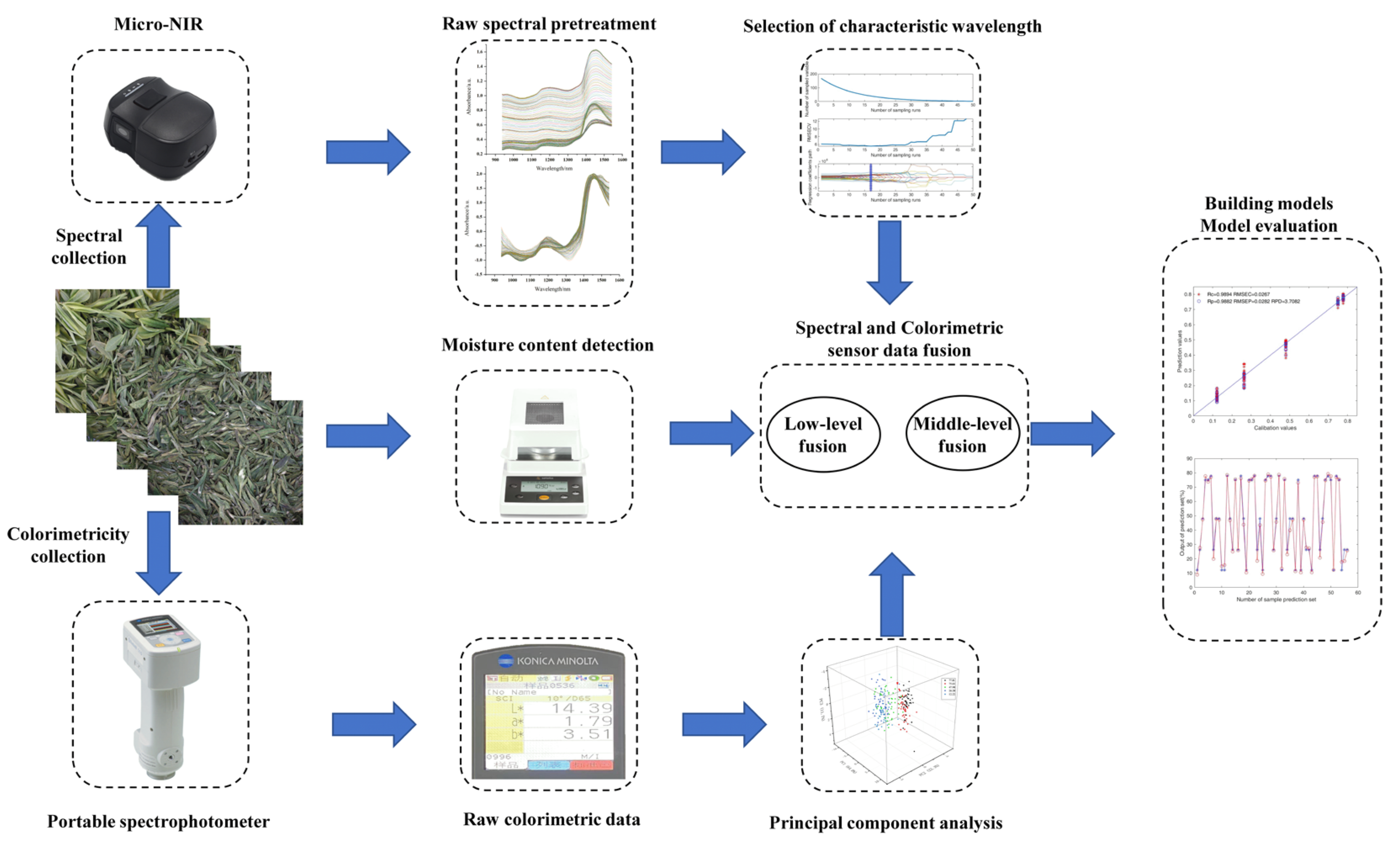 Horticulturae 08 01007 g002