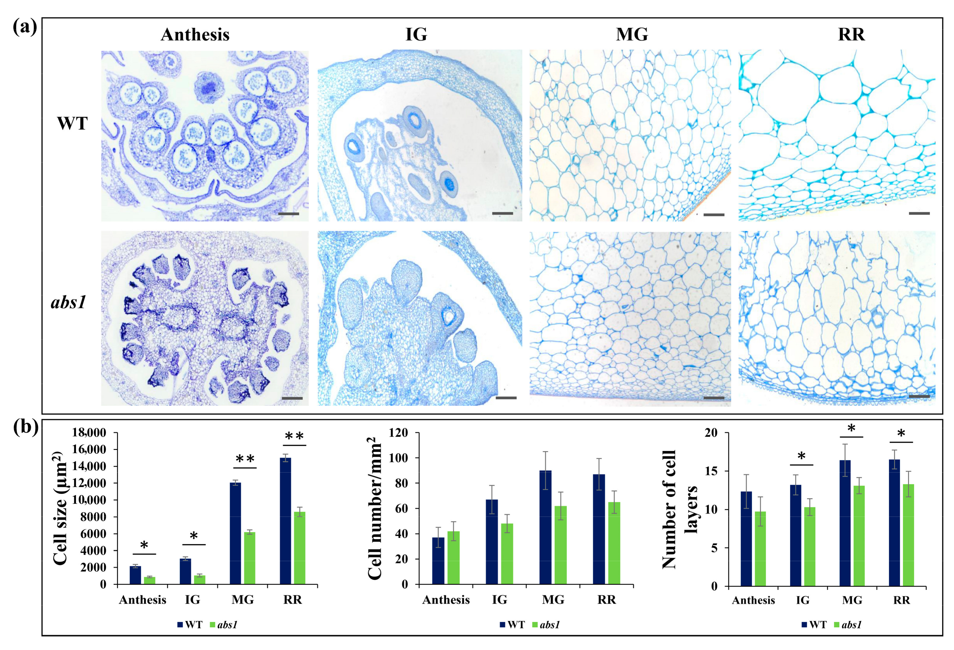 Horticulturae 08 01008 g005 Horticulturae 08 01008 g005