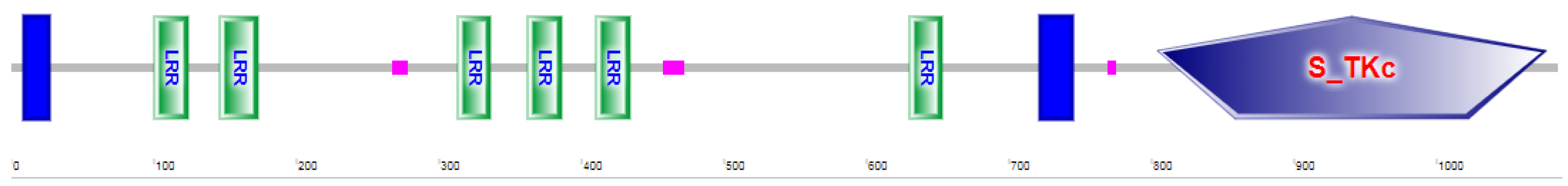 Horticulturae 08 01012 g003