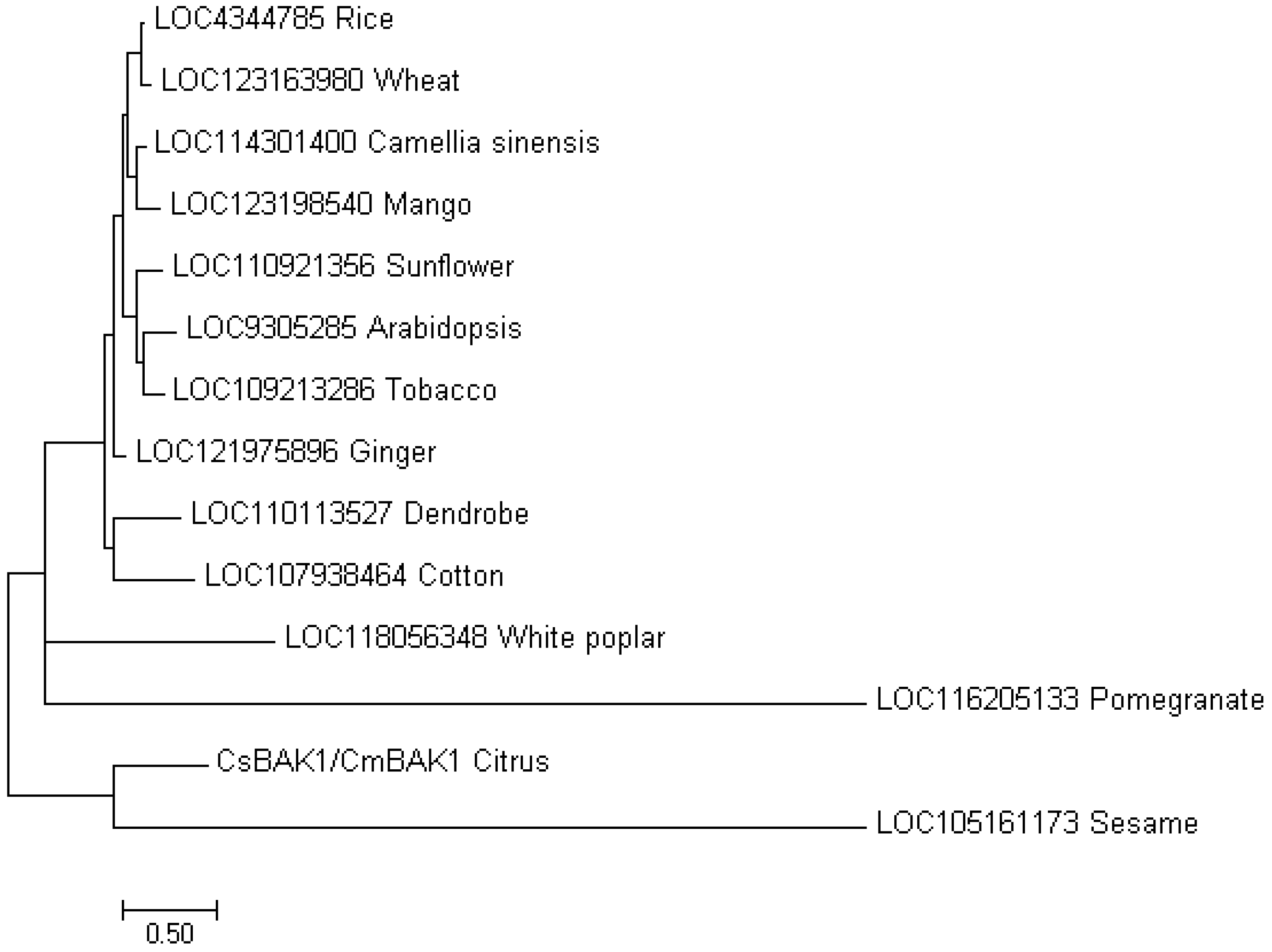 Horticulturae 08 01012 g004