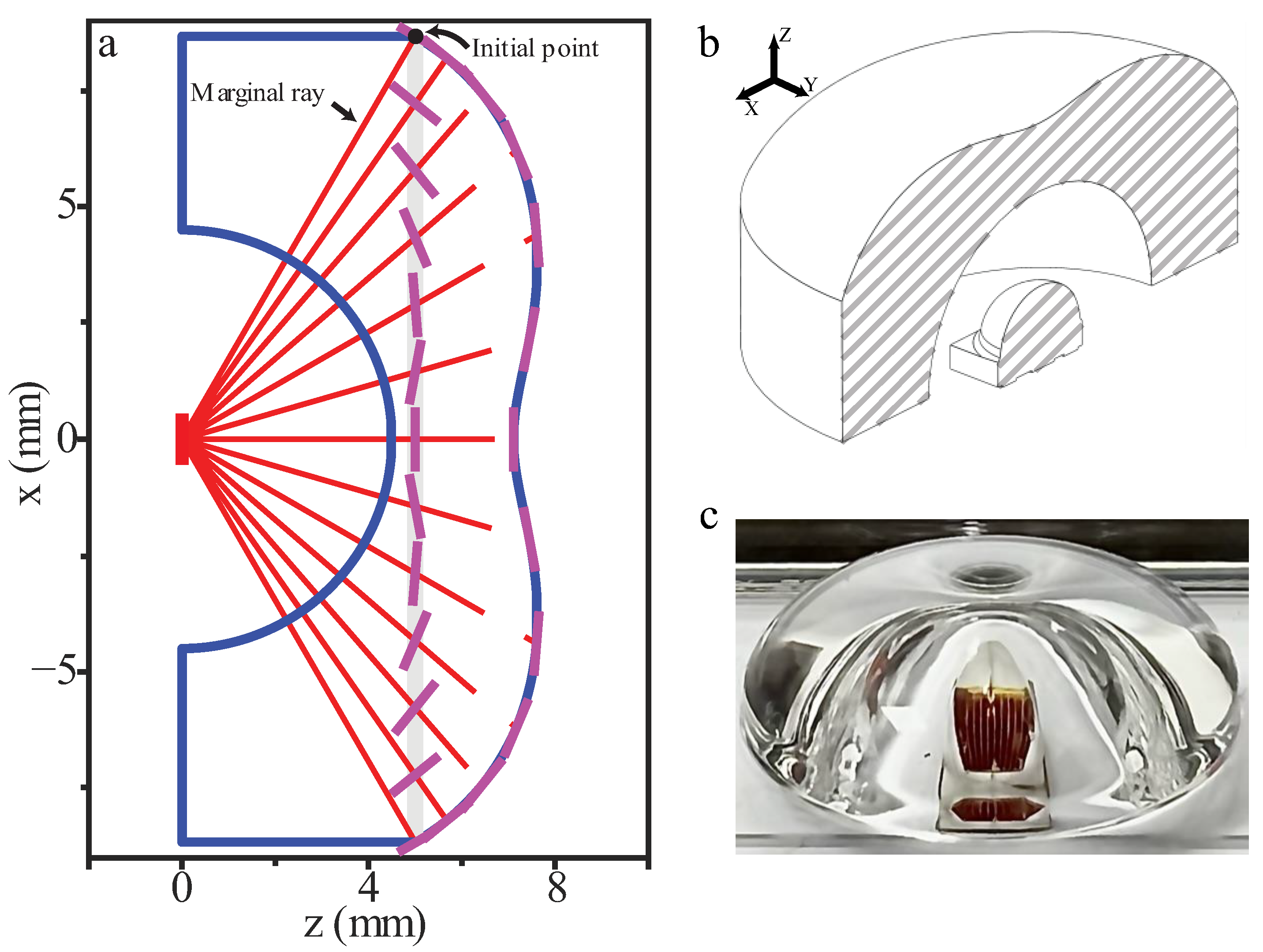 Horticulturae 08 01019 g003 Horticulturae 08 01019 g003