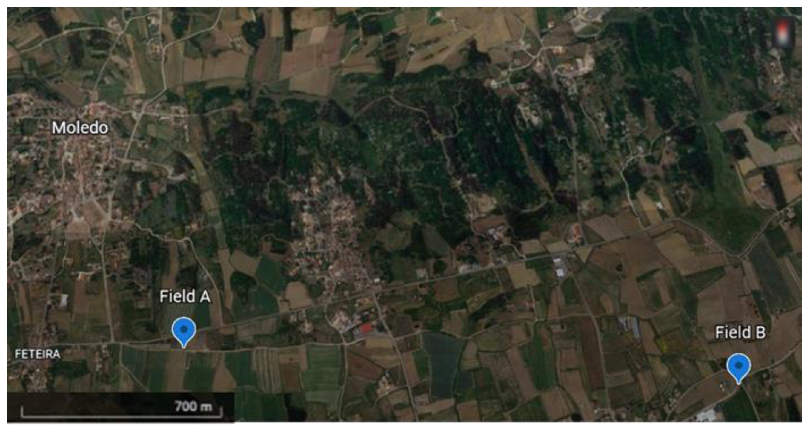 Horticulturae 08 01020 g001 Horticulturae 08 01020 g001