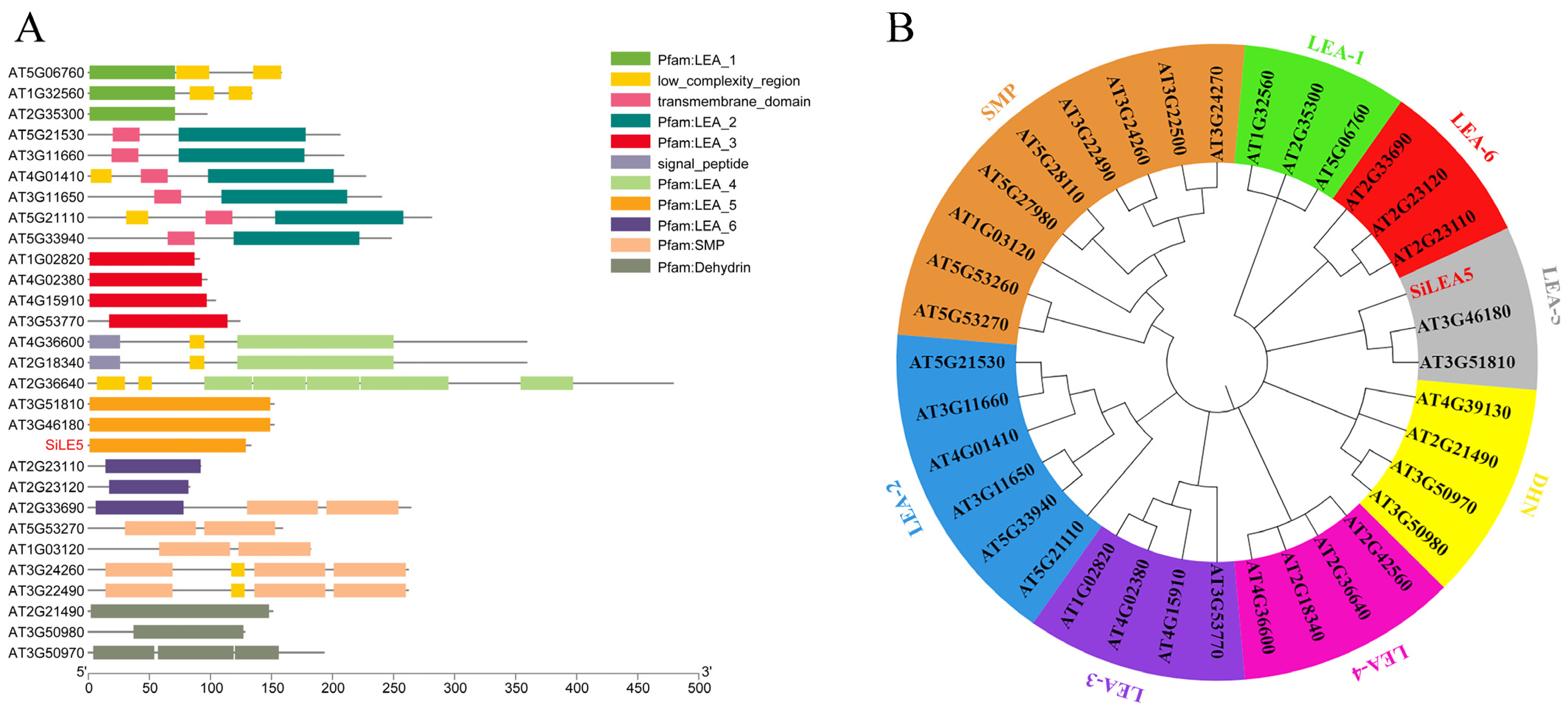Horticulturae 08 01023 g001