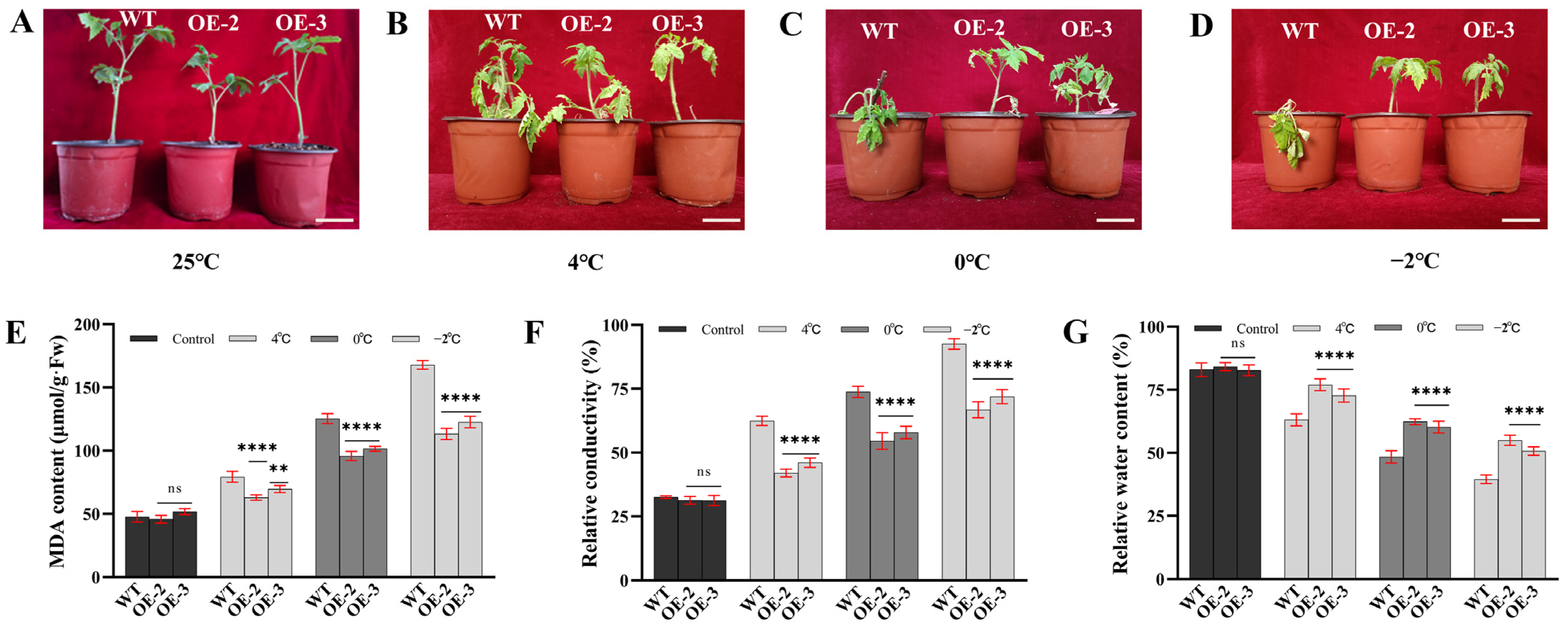 Horticulturae 08 01023 g002