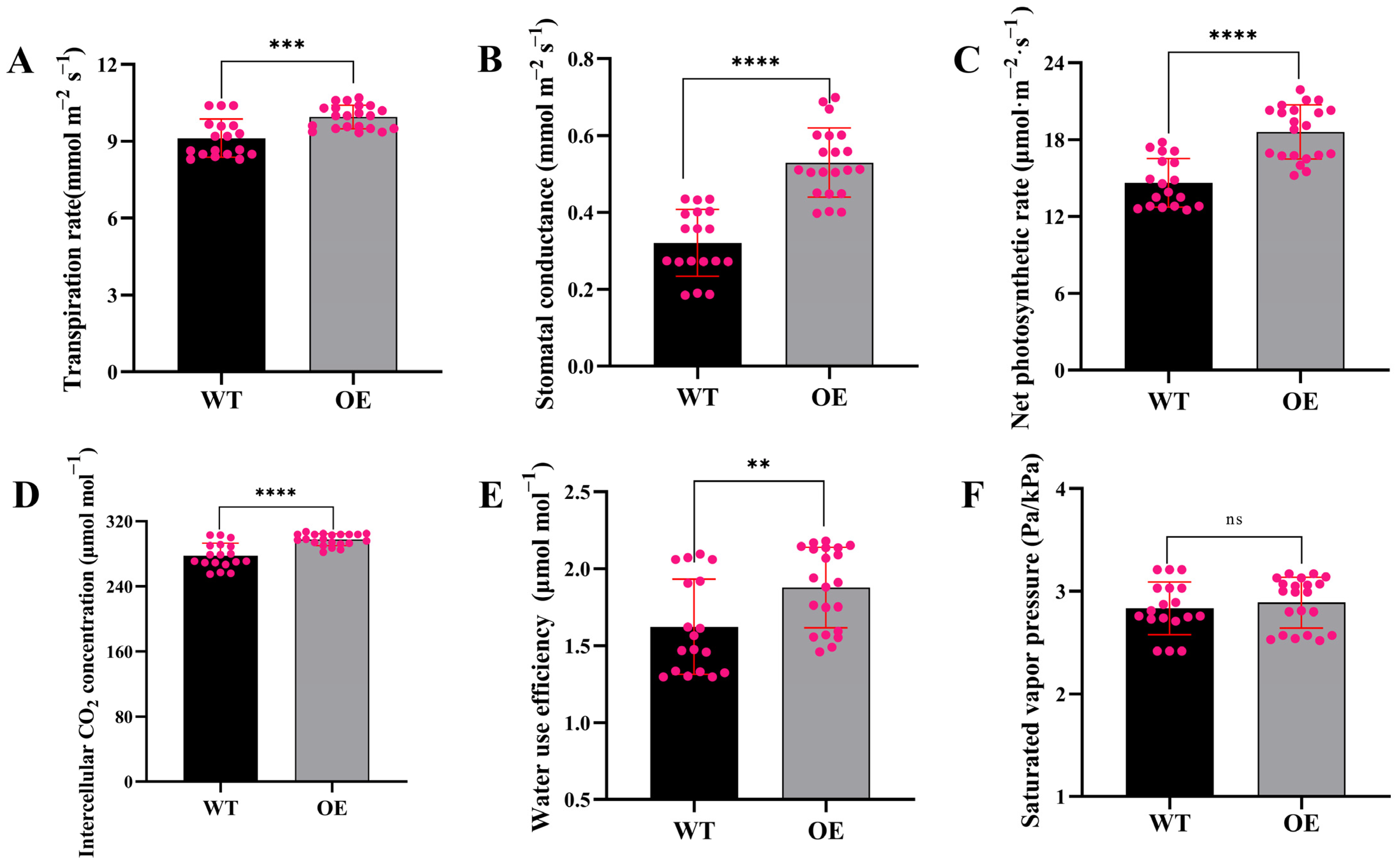 Horticulturae 08 01023 g004