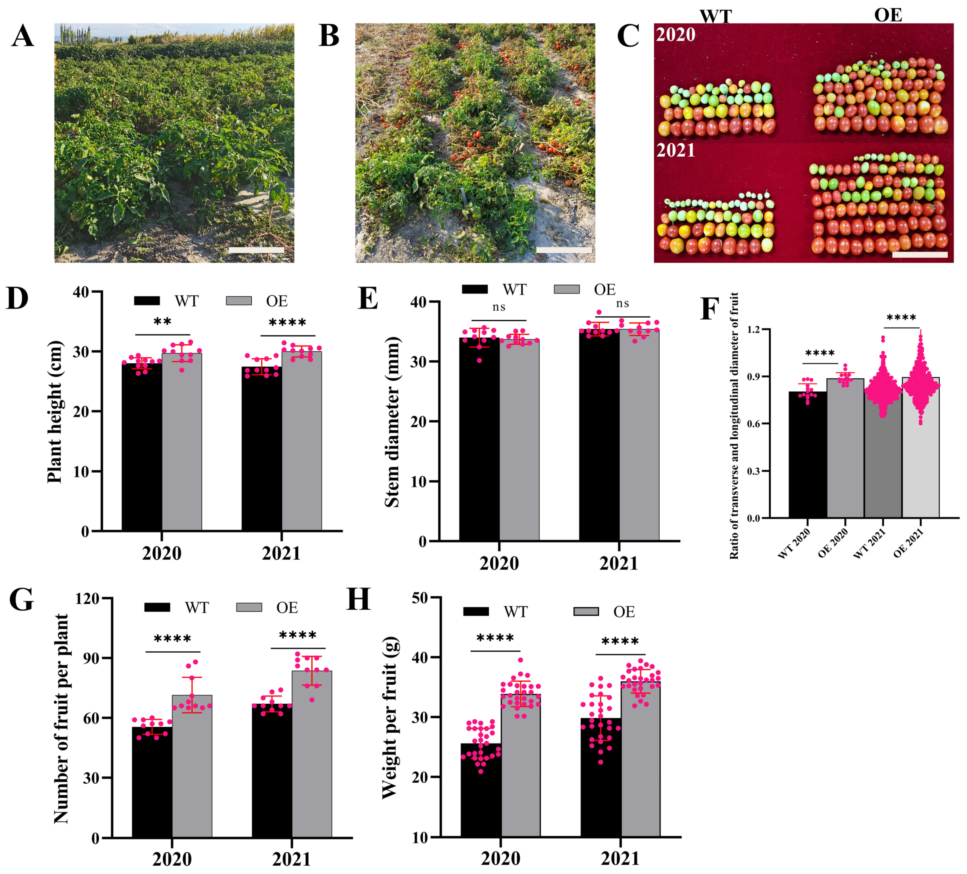Horticulturae 08 01023 g005
