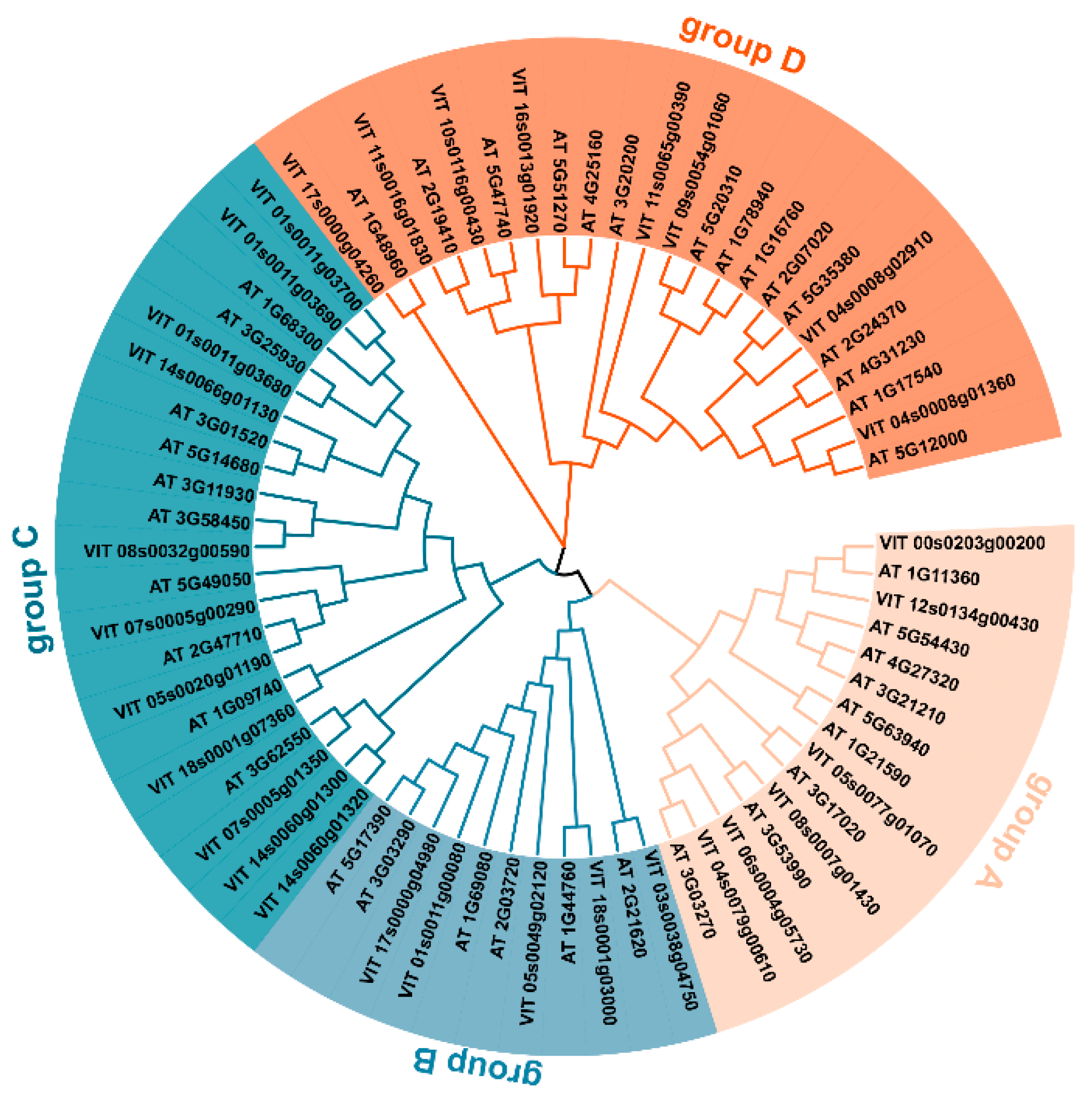 Horticulturae 08 01024 g001 Horticulturae 08 01024 g001