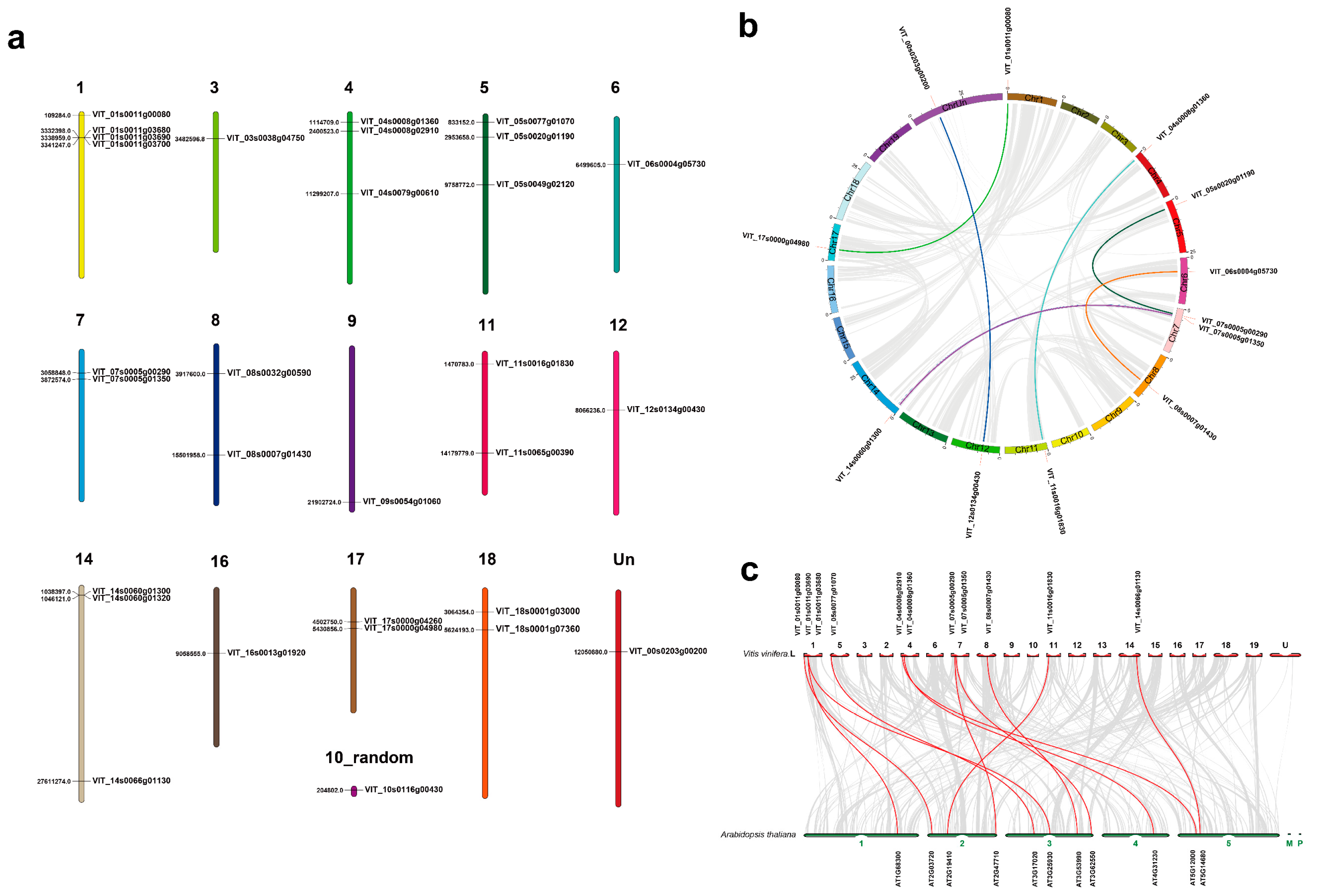 Horticulturae 08 01024 g003 Horticulturae 08 01024 g003