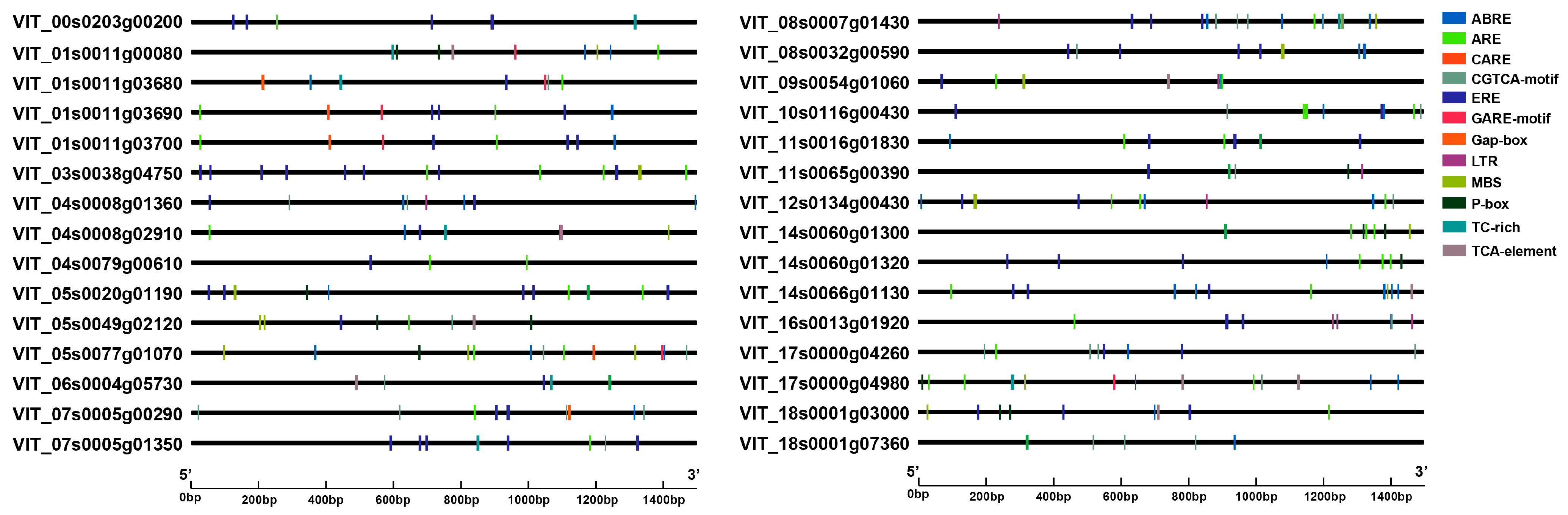 Horticulturae 08 01024 g004 Horticulturae 08 01024 g004