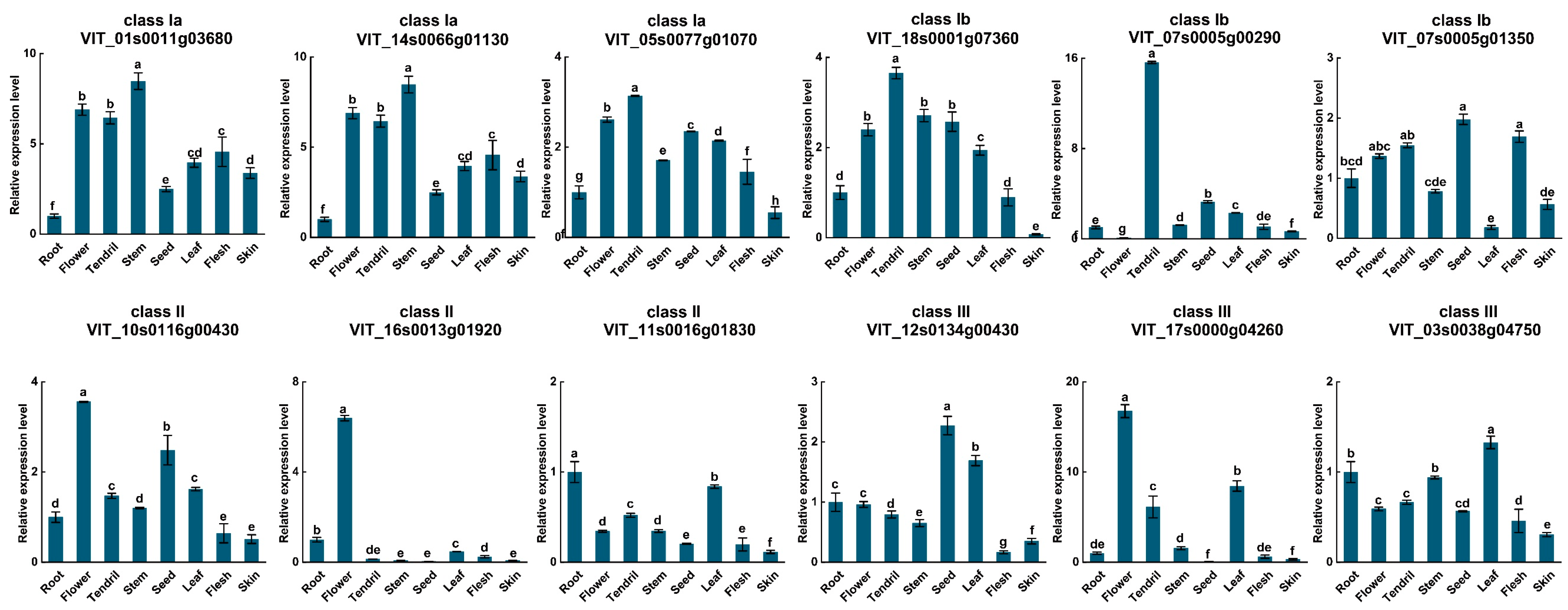 Horticulturae 08 01024 g005 Horticulturae 08 01024 g005
