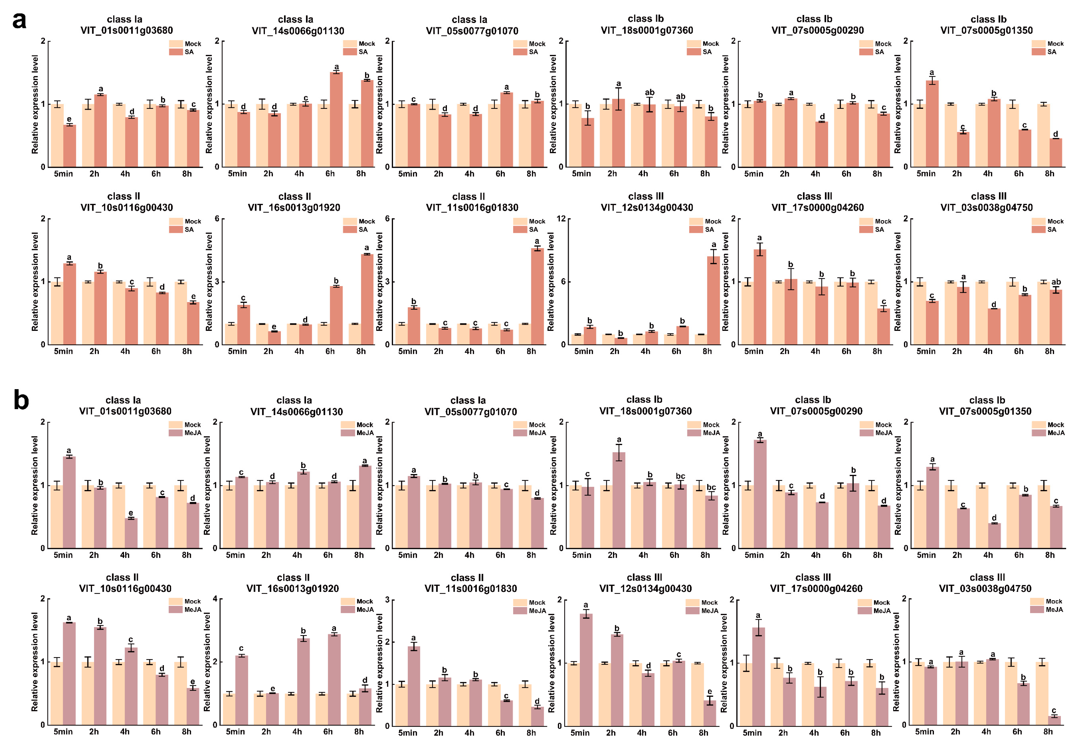 Horticulturae 08 01024 g006 Horticulturae 08 01024 g006