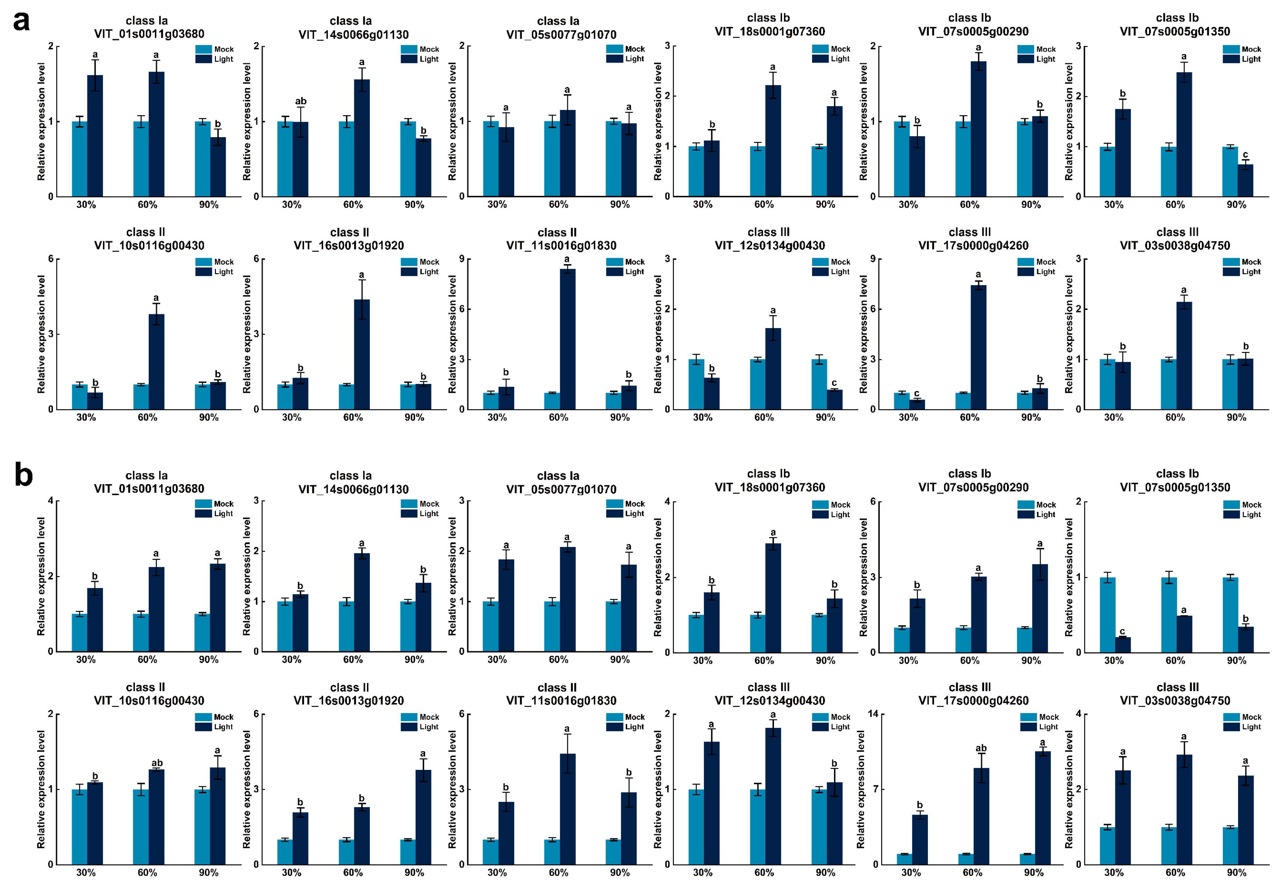 Horticulturae 08 01024 g007 Horticulturae 08 01024 g007