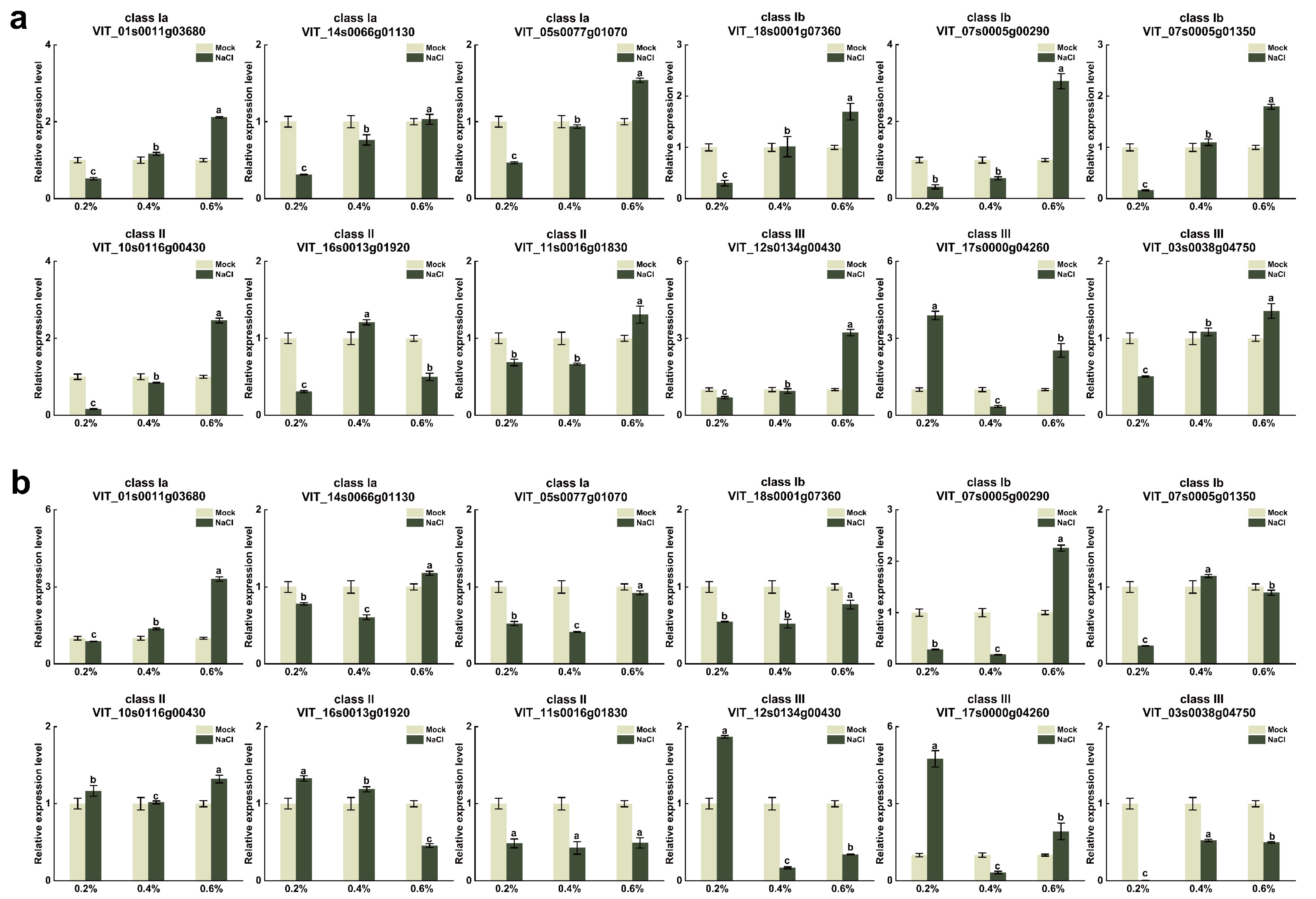 Horticulturae 08 01024 g008 Horticulturae 08 01024 g008
