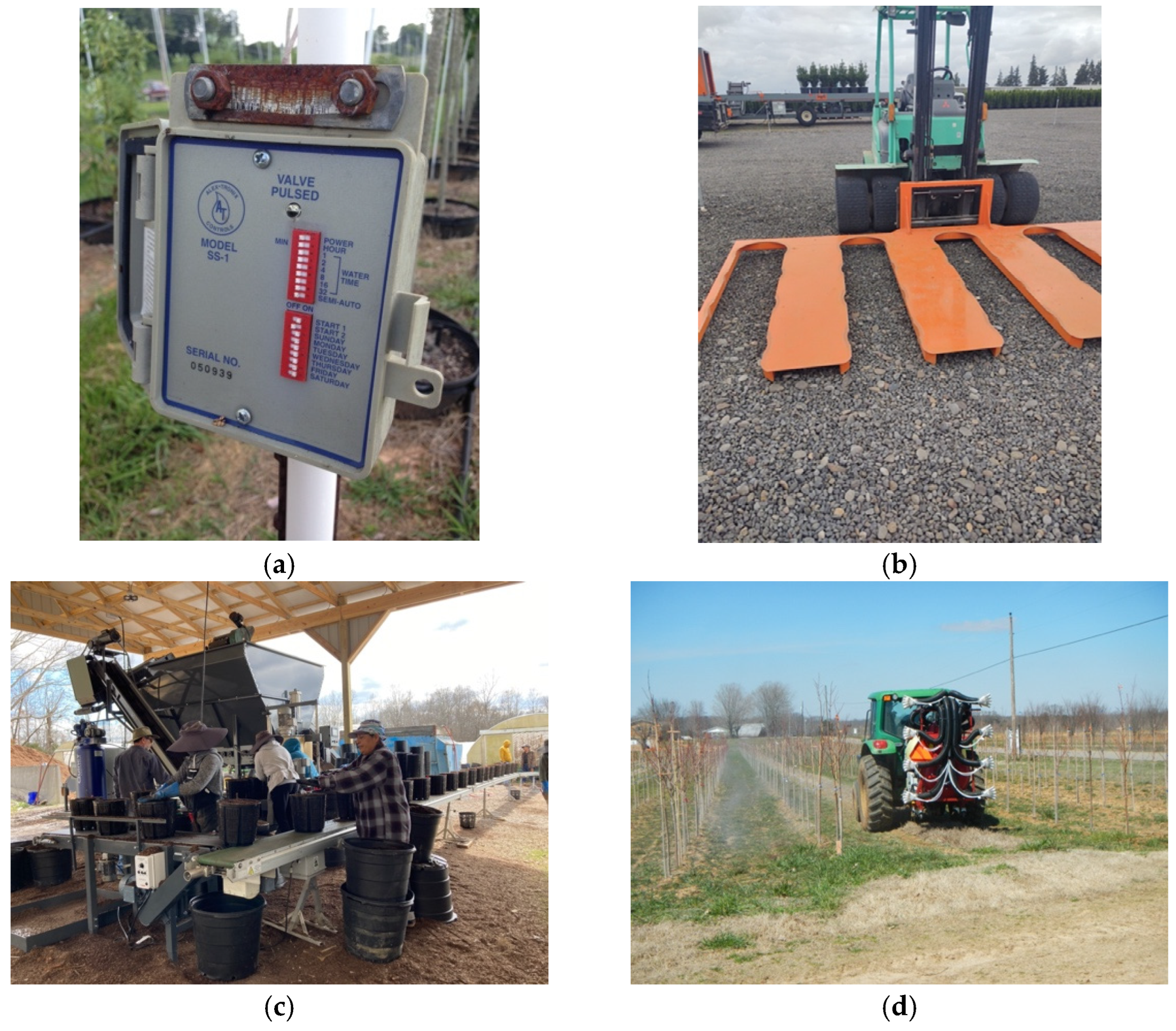 Horticulturae 08 01028 g001