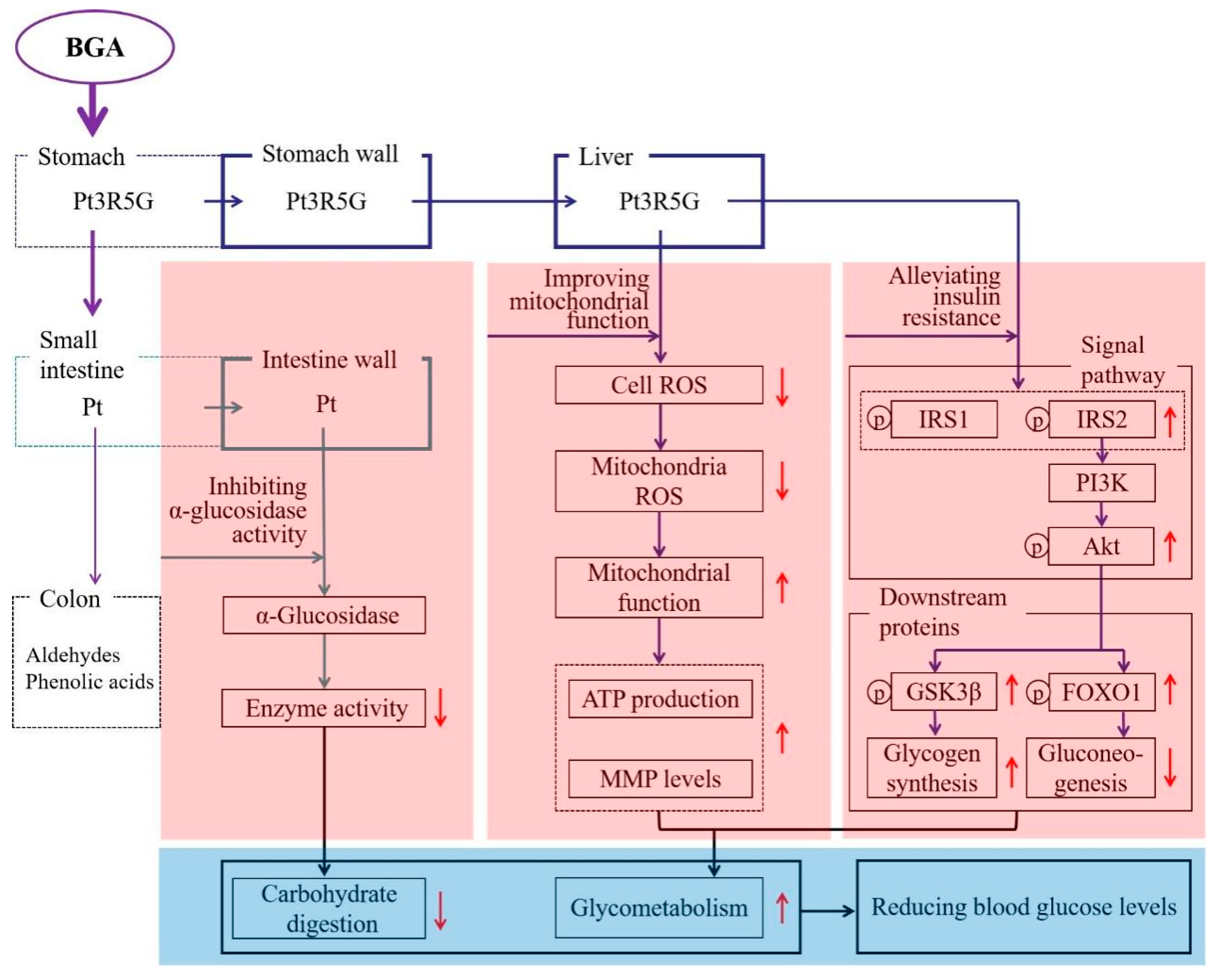 Horticulturae 08 01033 g003 Horticulturae 08 01033 g003
