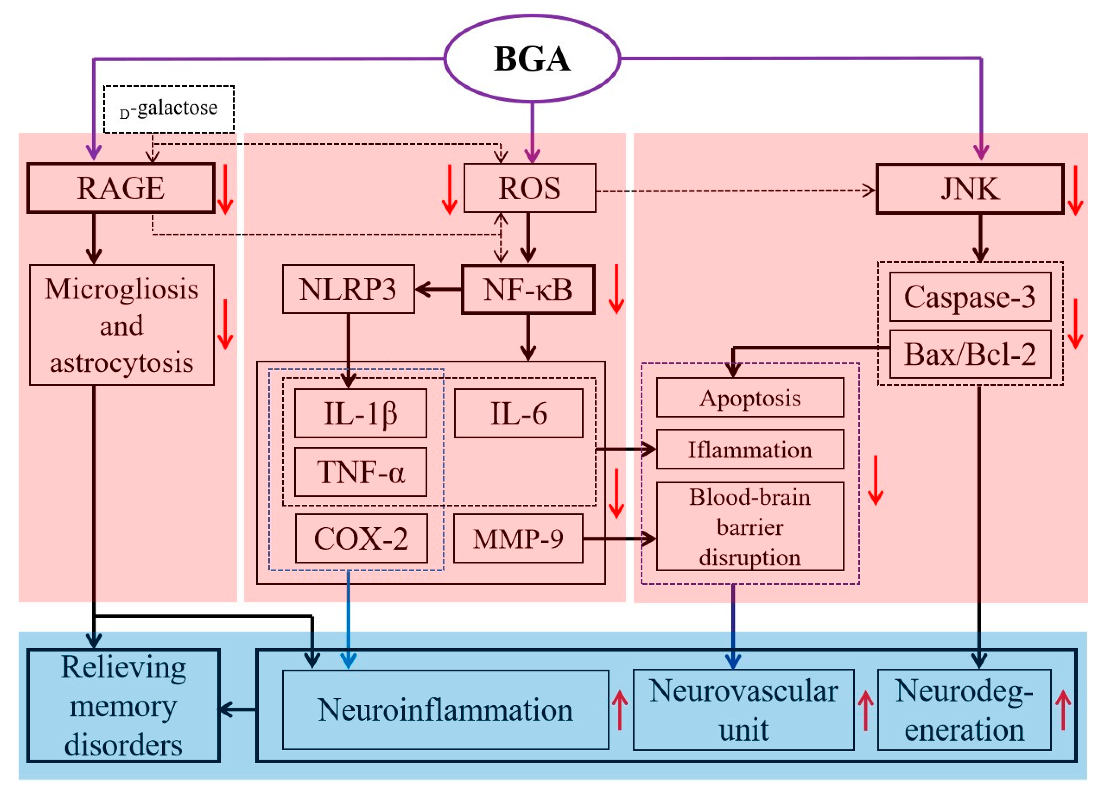 Horticulturae 08 01033 g004 Horticulturae 08 01033 g004