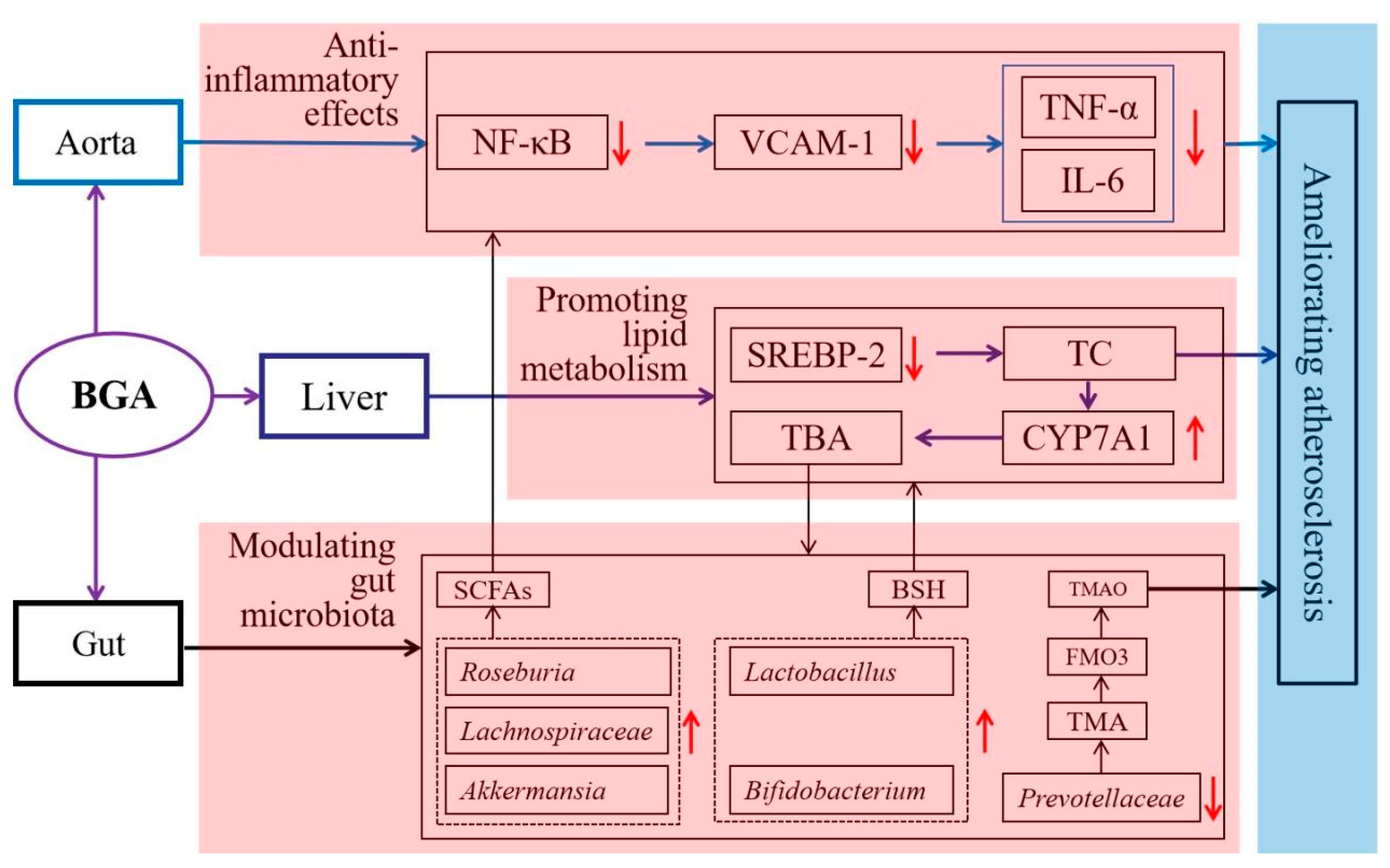 Horticulturae 08 01033 g005 Horticulturae 08 01033 g005