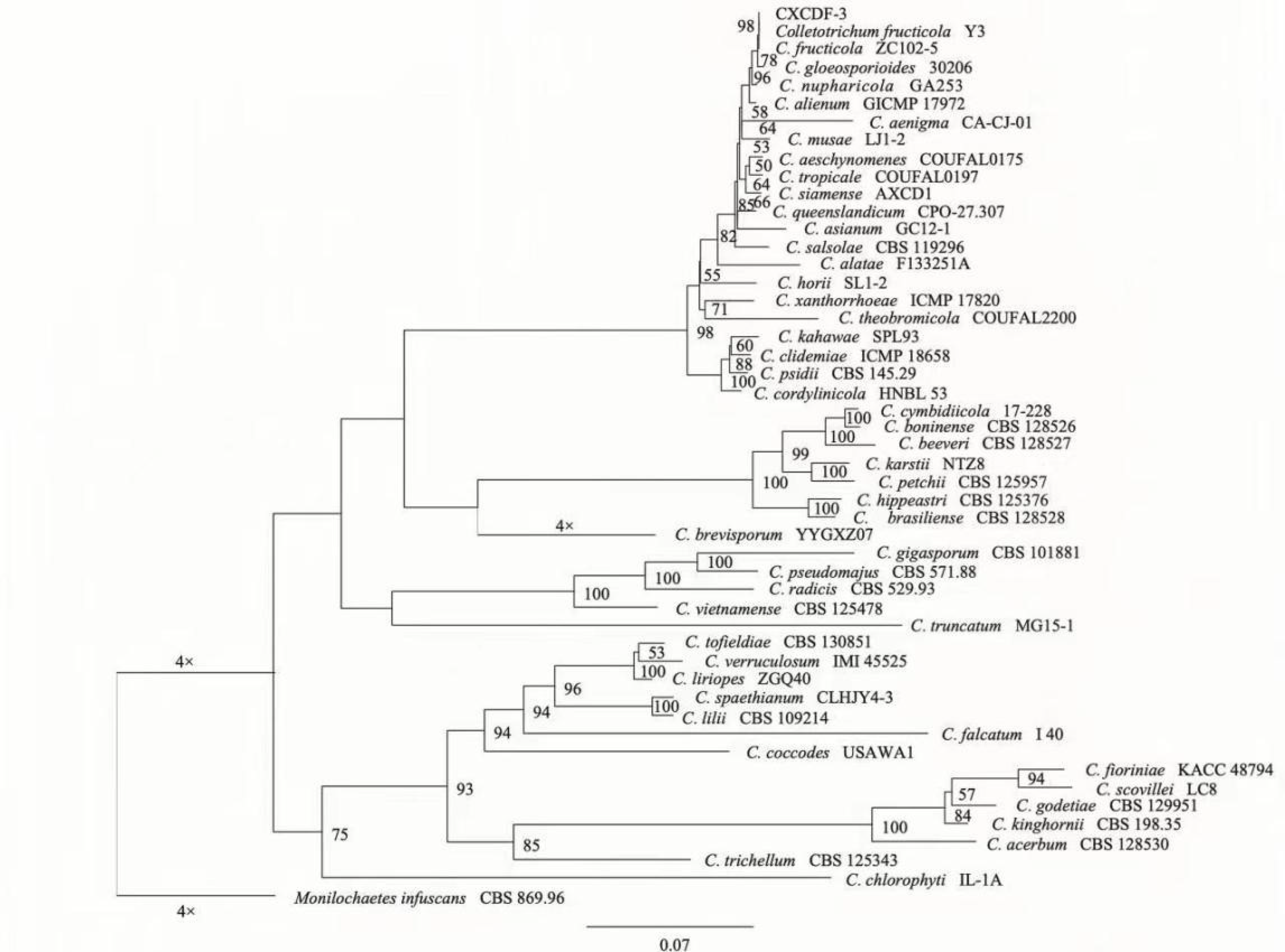 Horticulturae 08 01036 g004 Horticulturae 08 01036 g004