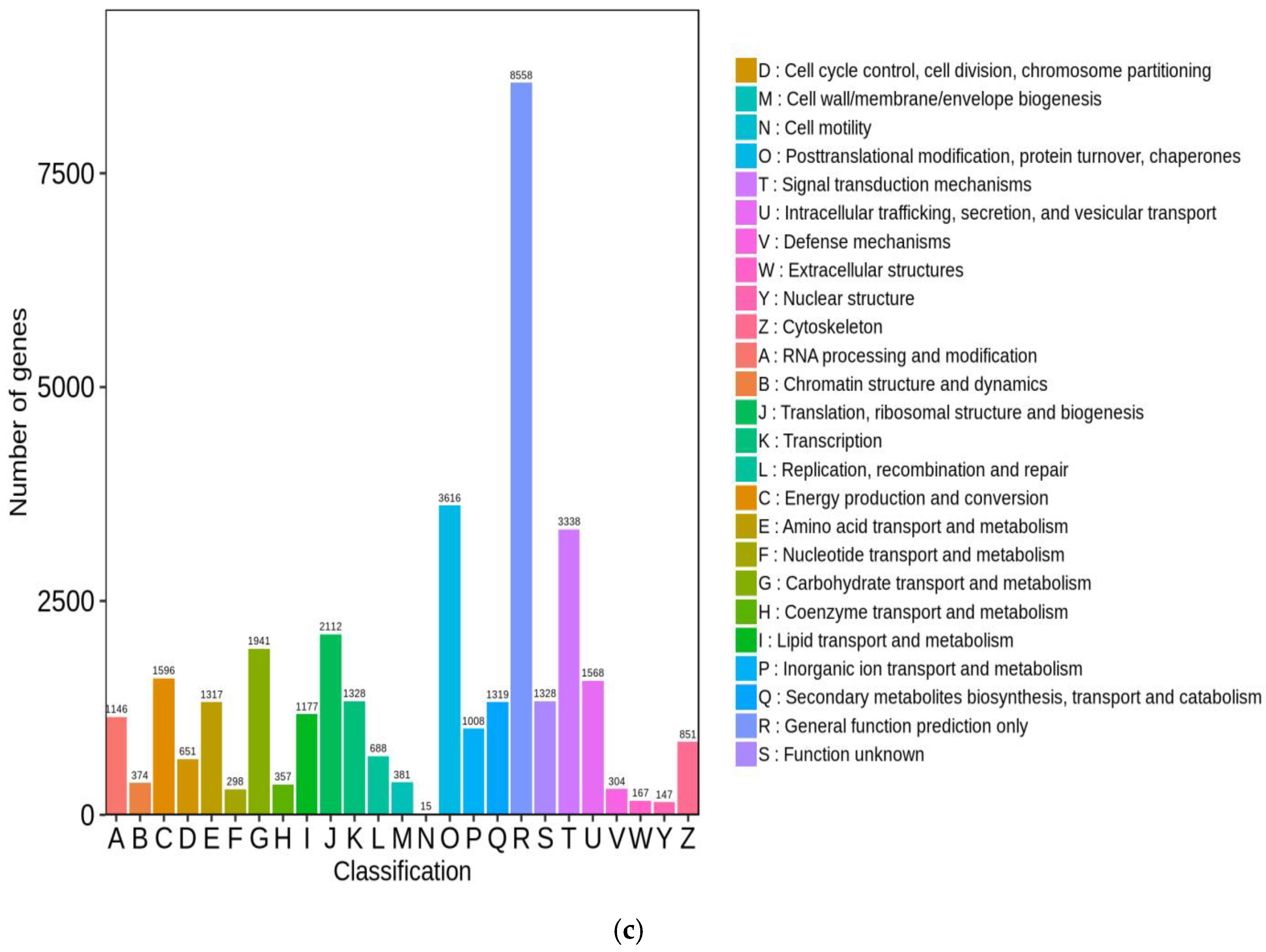 Horticulturae 08 01044 g003b Horticulturae 08 01044 g003b