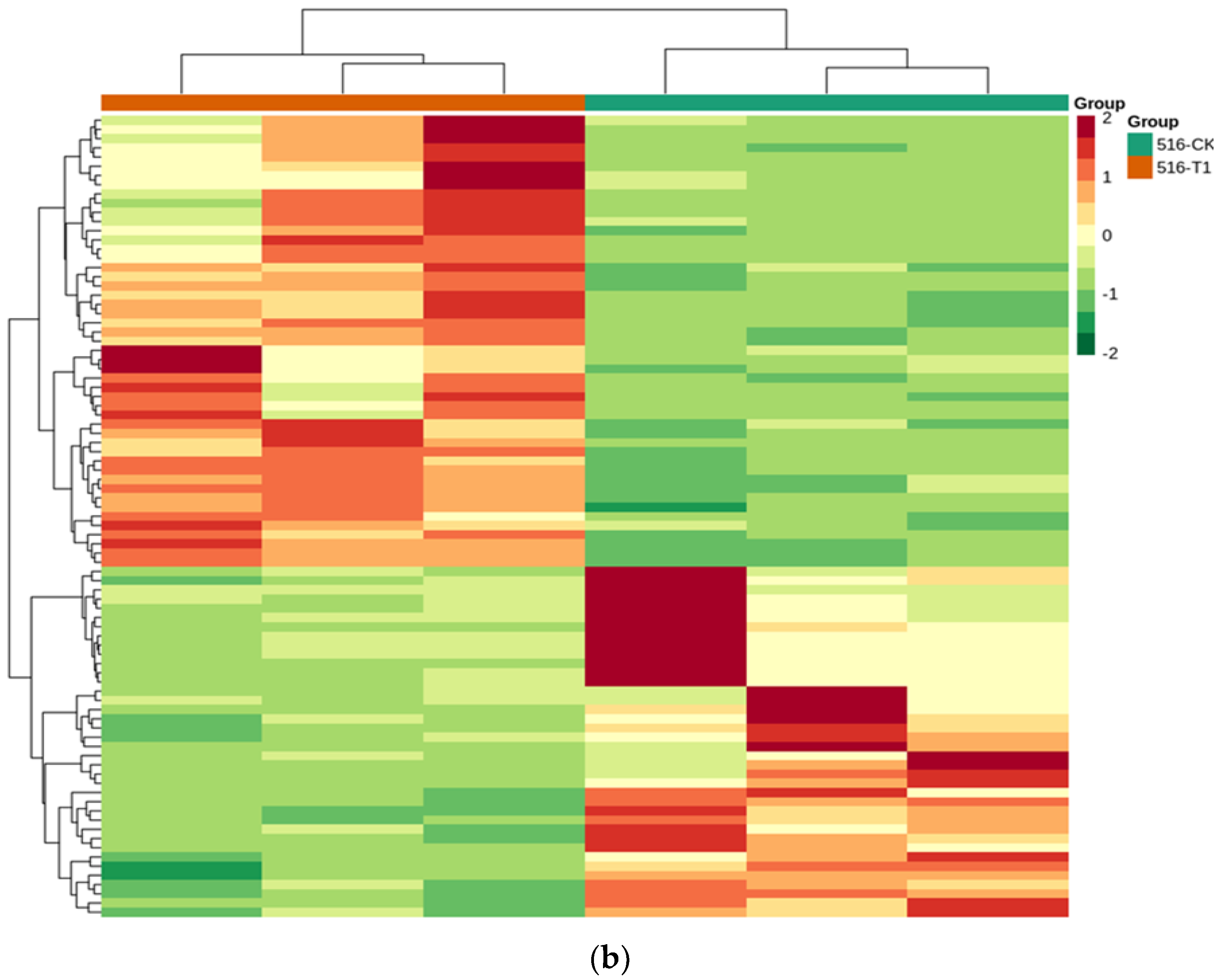 Horticulturae 08 01044 g006b Horticulturae 08 01044 g006b