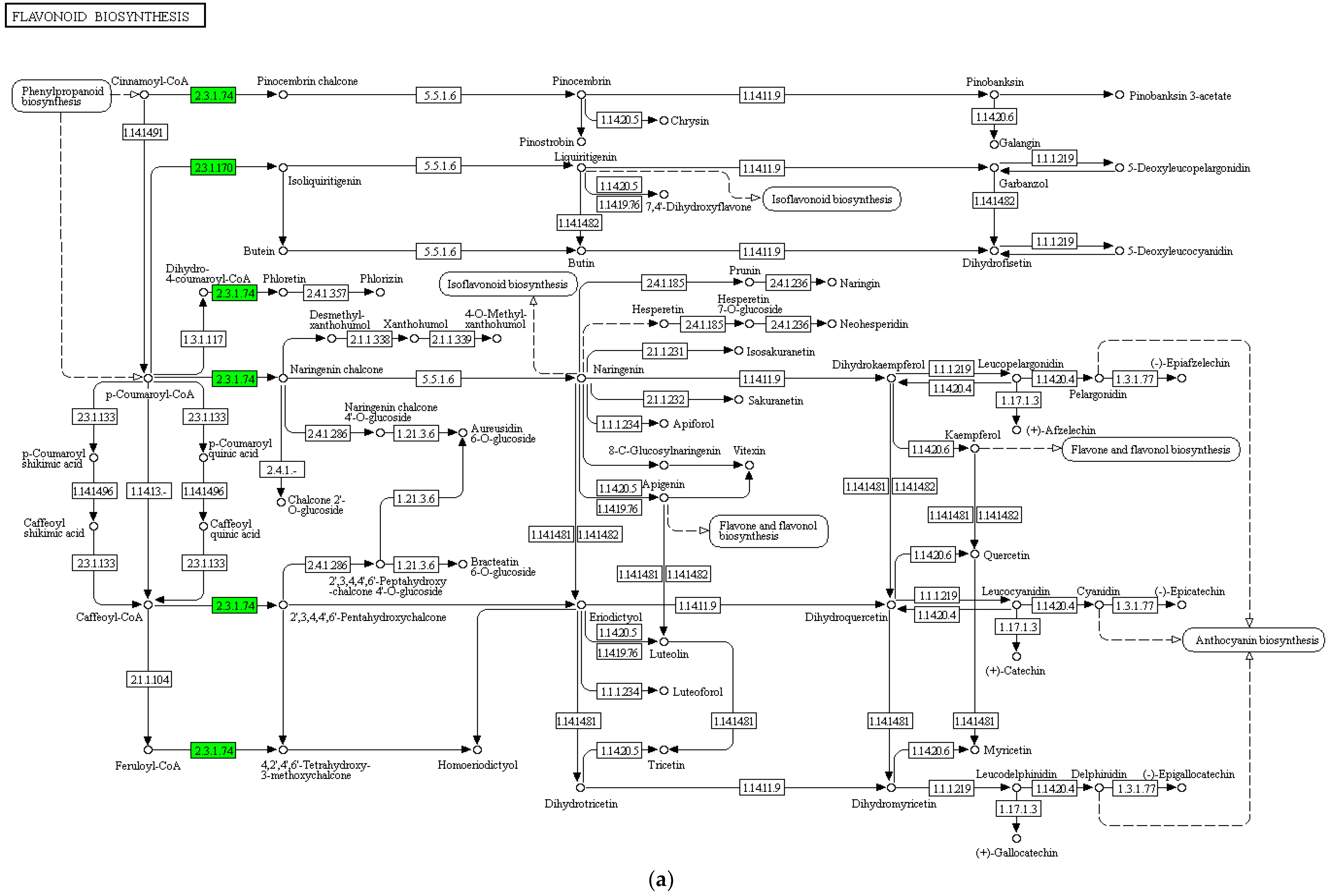 Horticulturae 08 01044 g007a Horticulturae 08 01044 g007a