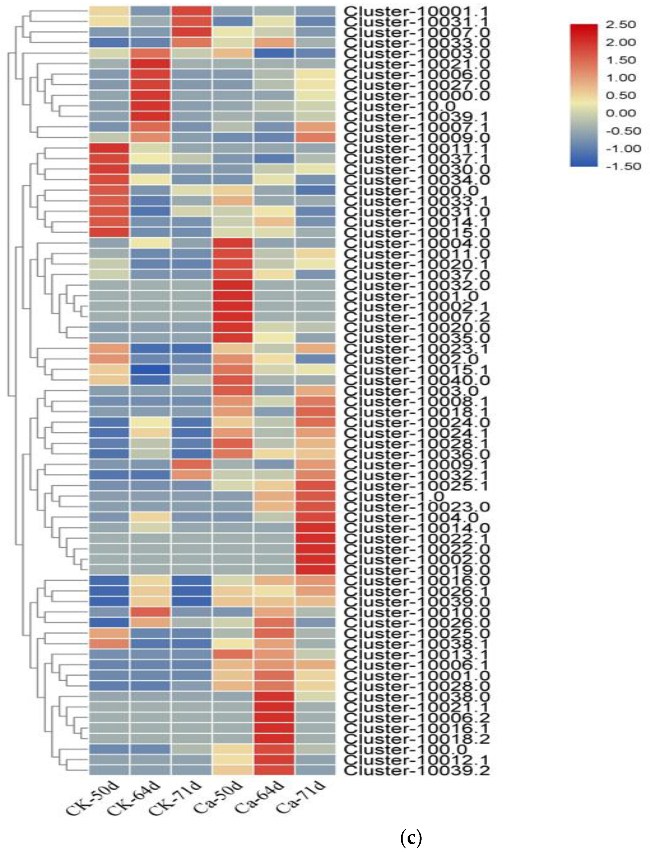 Horticulturae 08 01044 g007c Horticulturae 08 01044 g007c