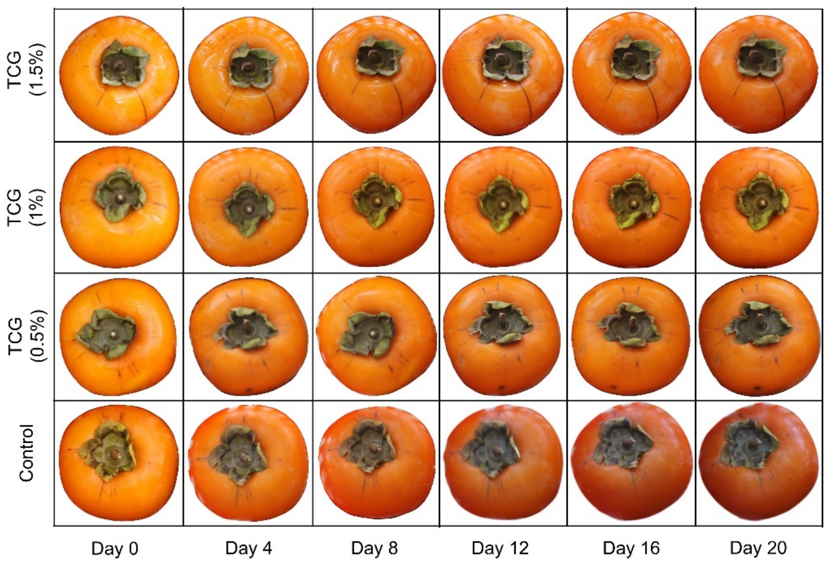 Horticulturae 08 01045 g005 Horticulturae 08 01045 g005