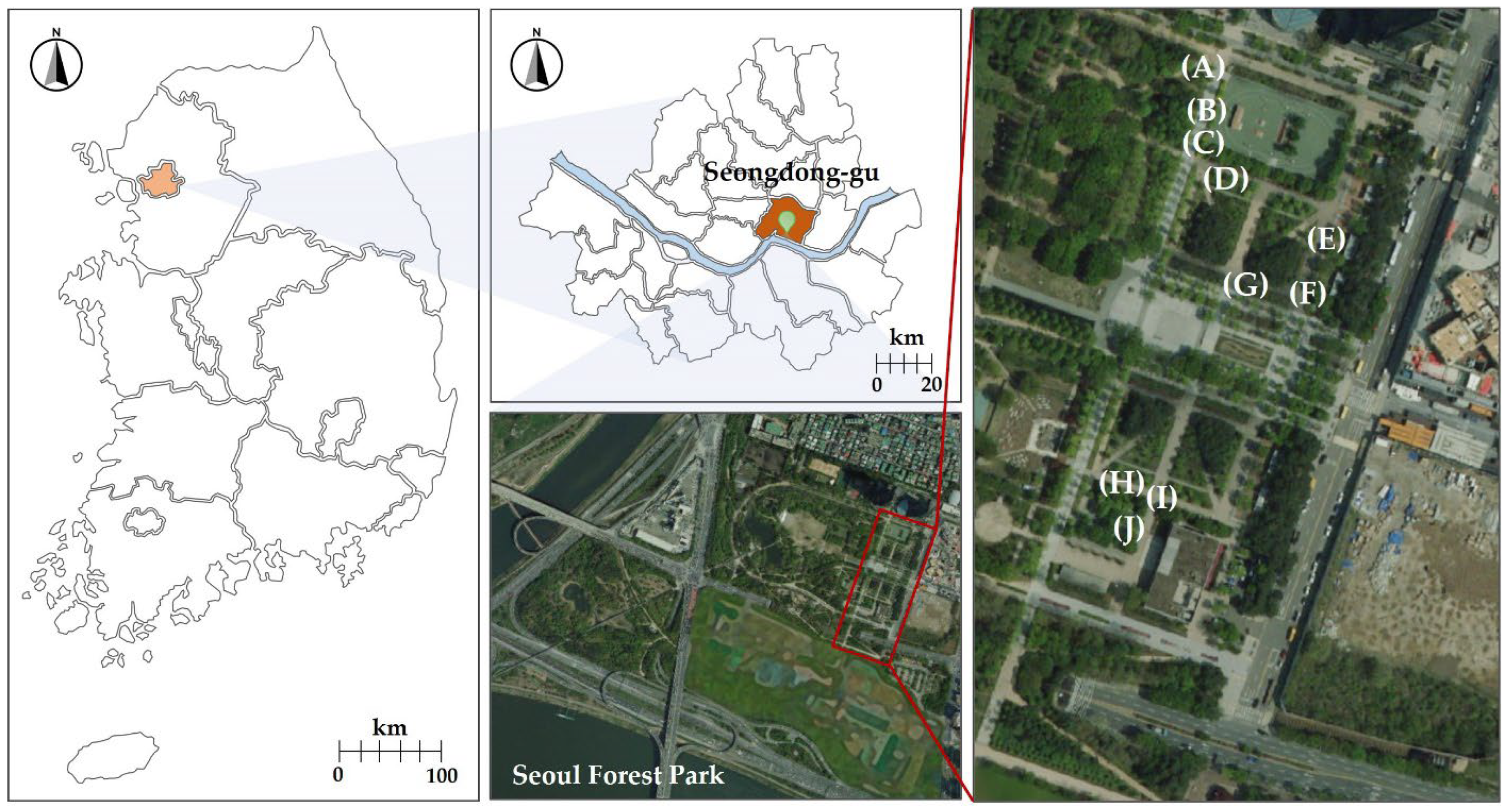 Horticulturae 08 01046 g001